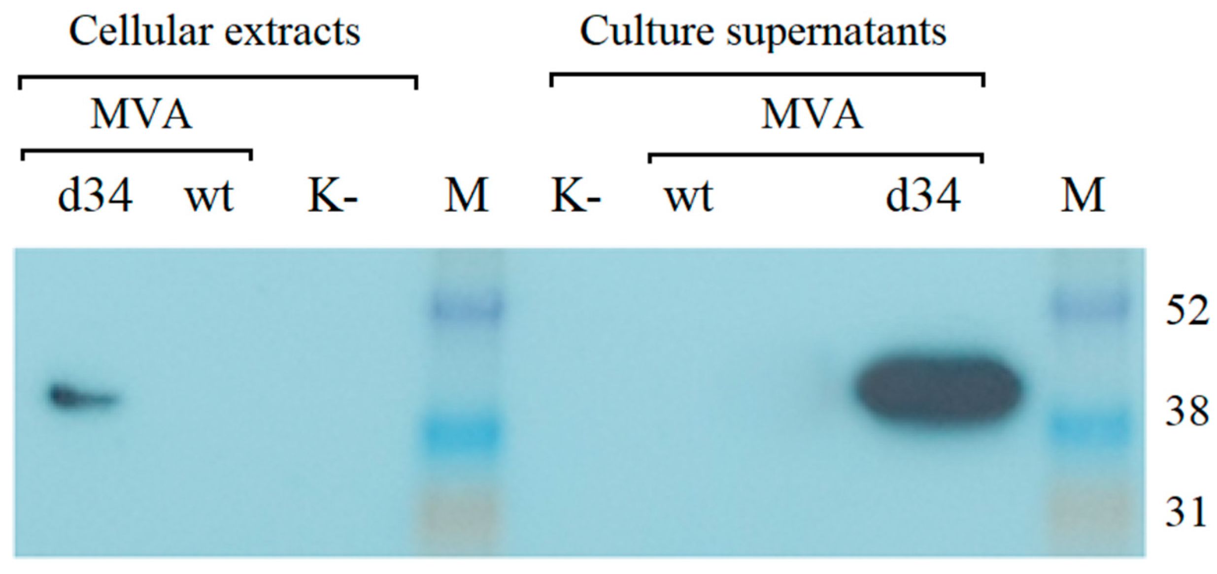 Vaccines 11 00831 g003