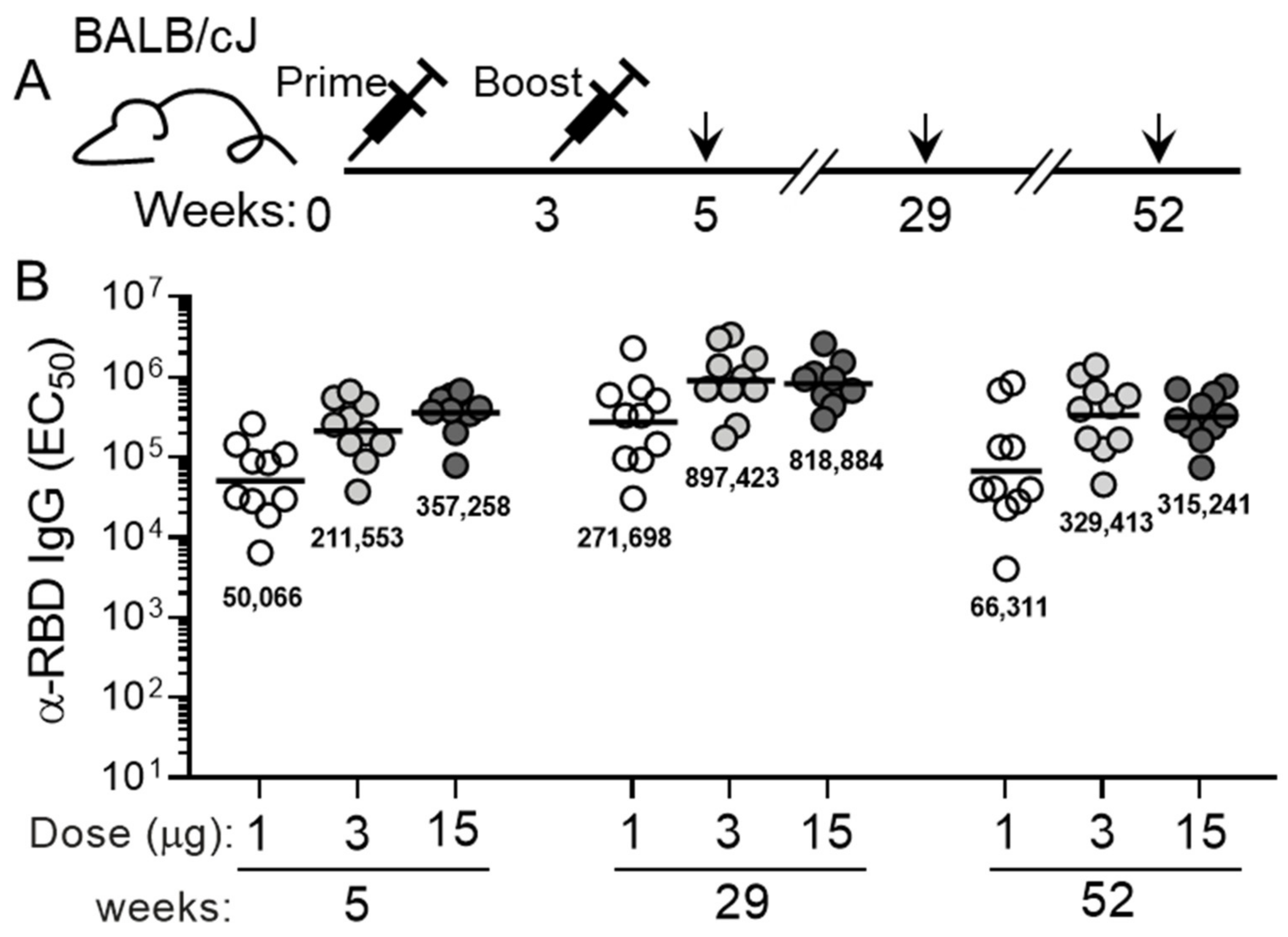 Vaccines 11 00832 g002 Vaccines 11 00832 g002