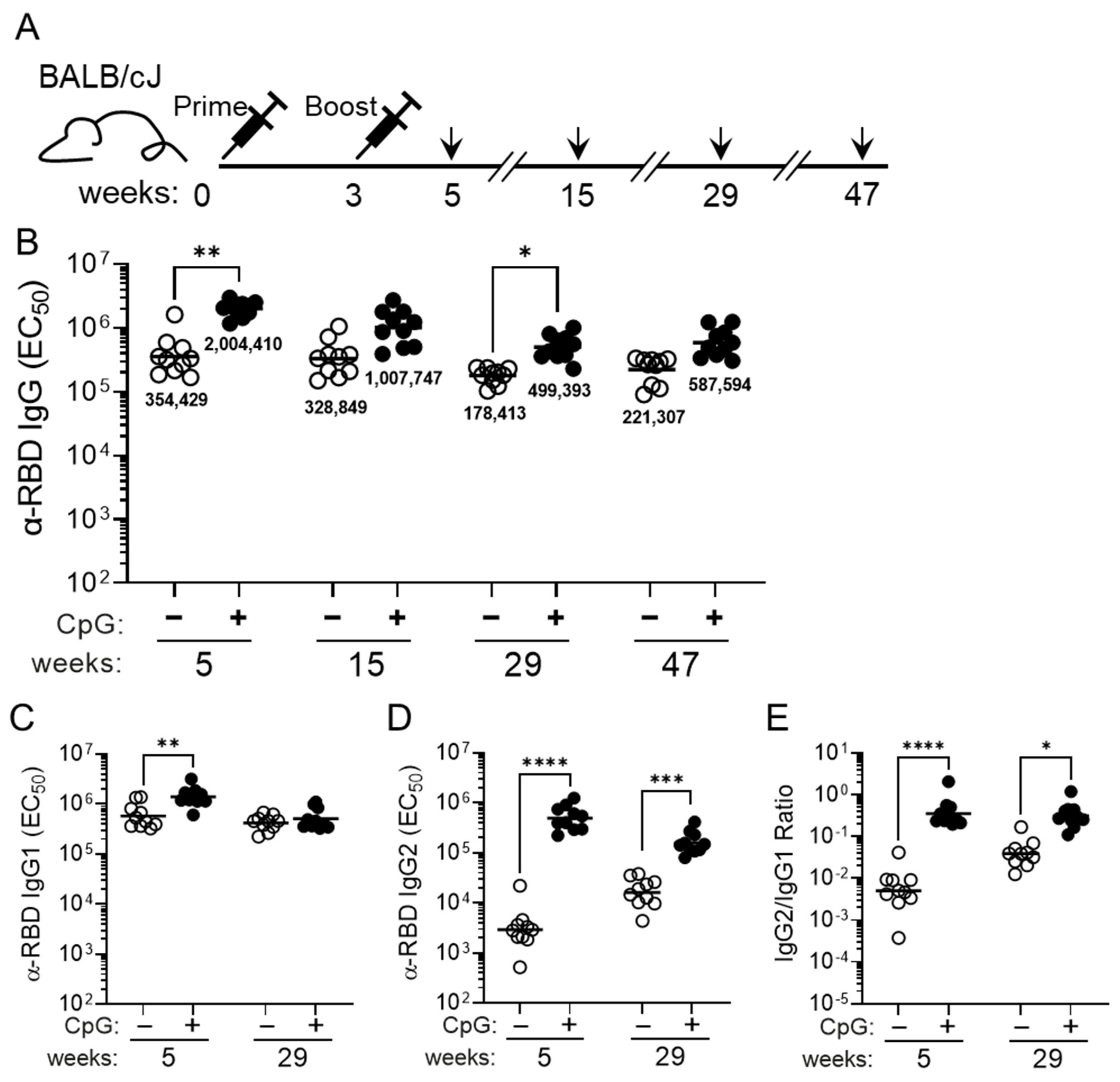 Vaccines 11 00832 g003 Vaccines 11 00832 g003