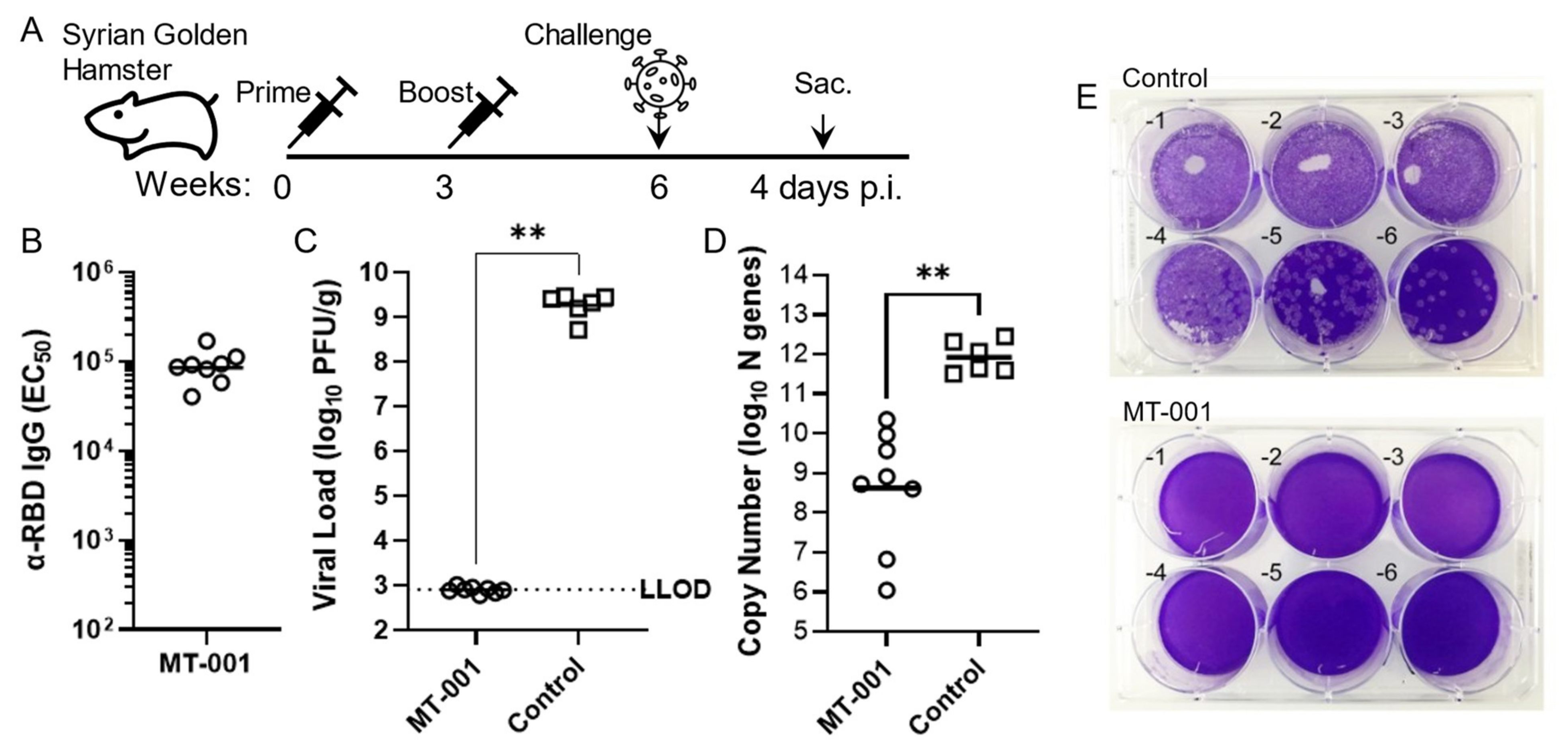 Vaccines 11 00832 g004 Vaccines 11 00832 g004