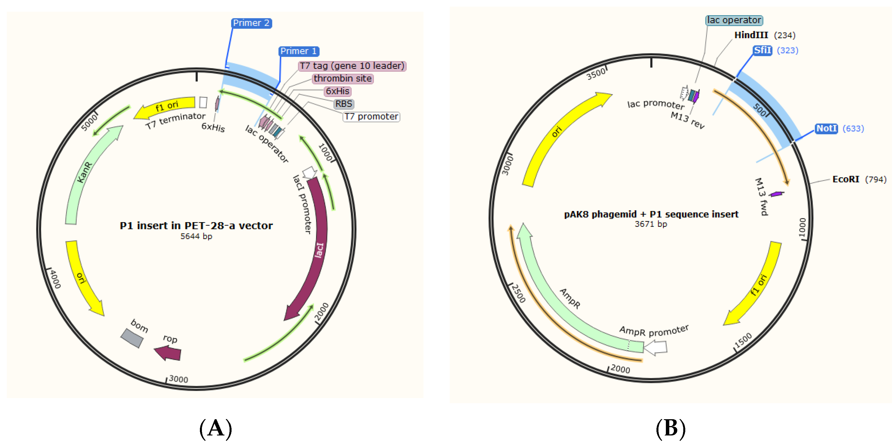Vaccines 11 00833 g001 Vaccines 11 00833 g001