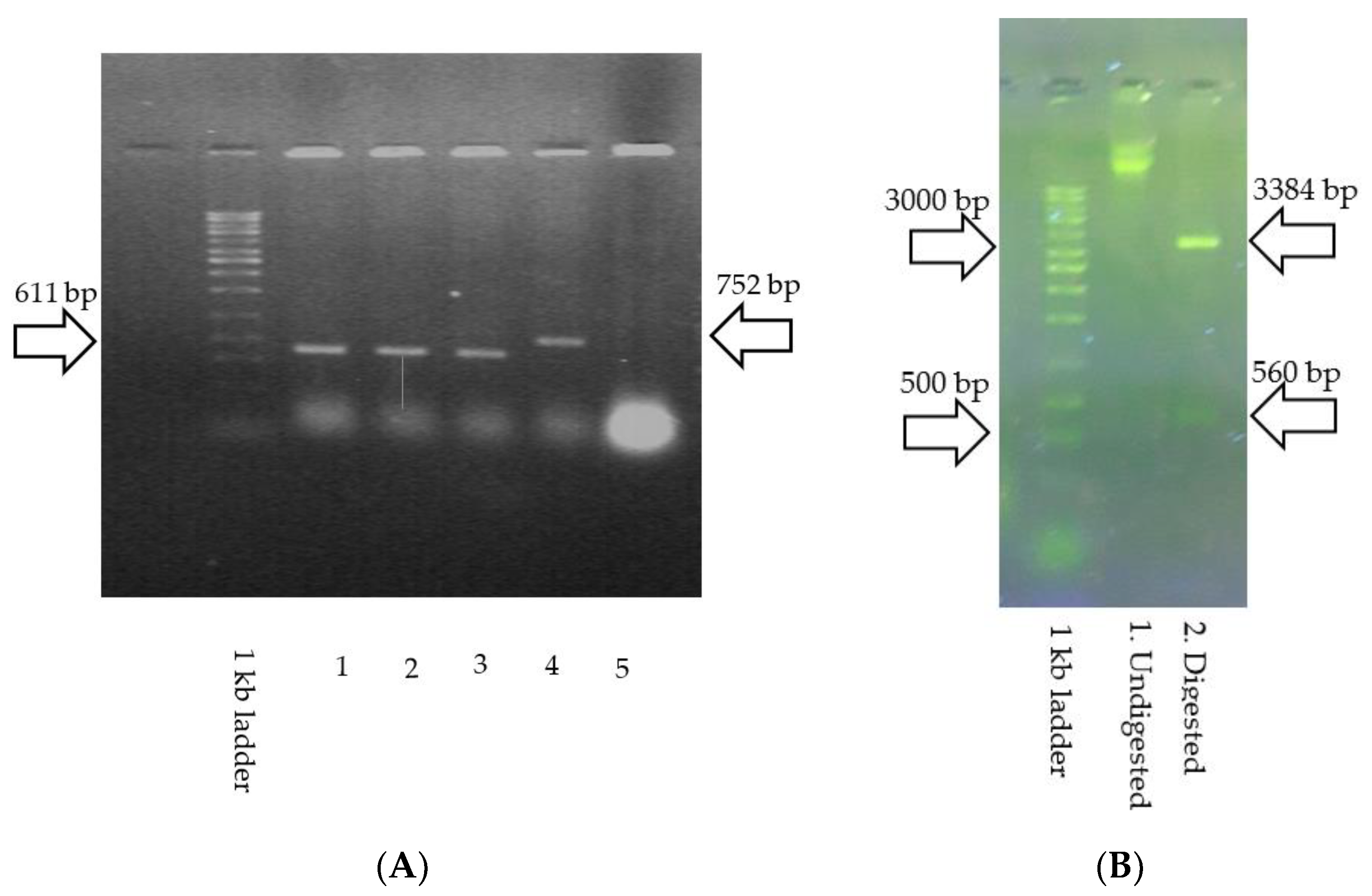 Vaccines 11 00833 g003 Vaccines 11 00833 g003