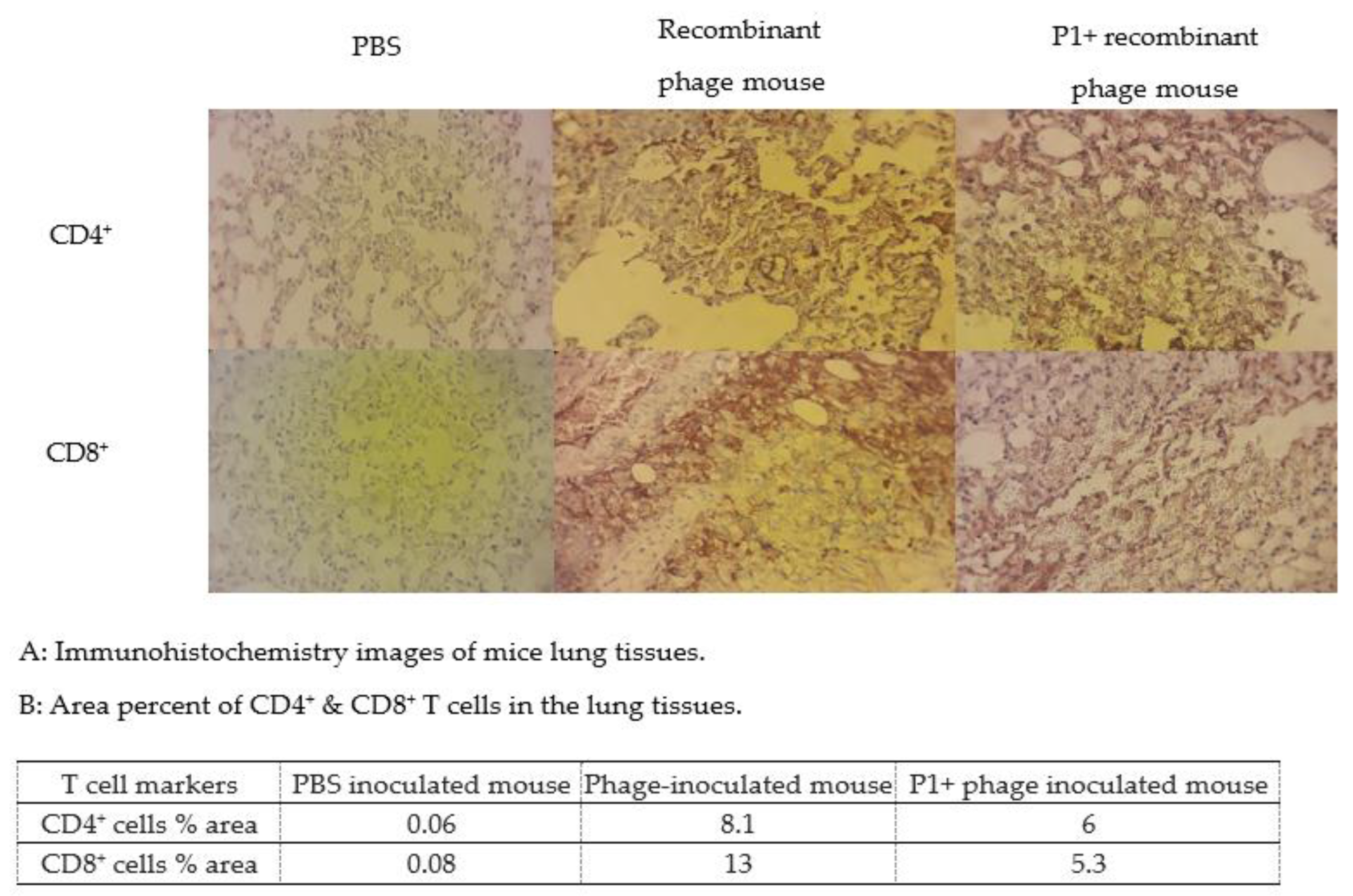 Vaccines 11 00833 g010 Vaccines 11 00833 g010