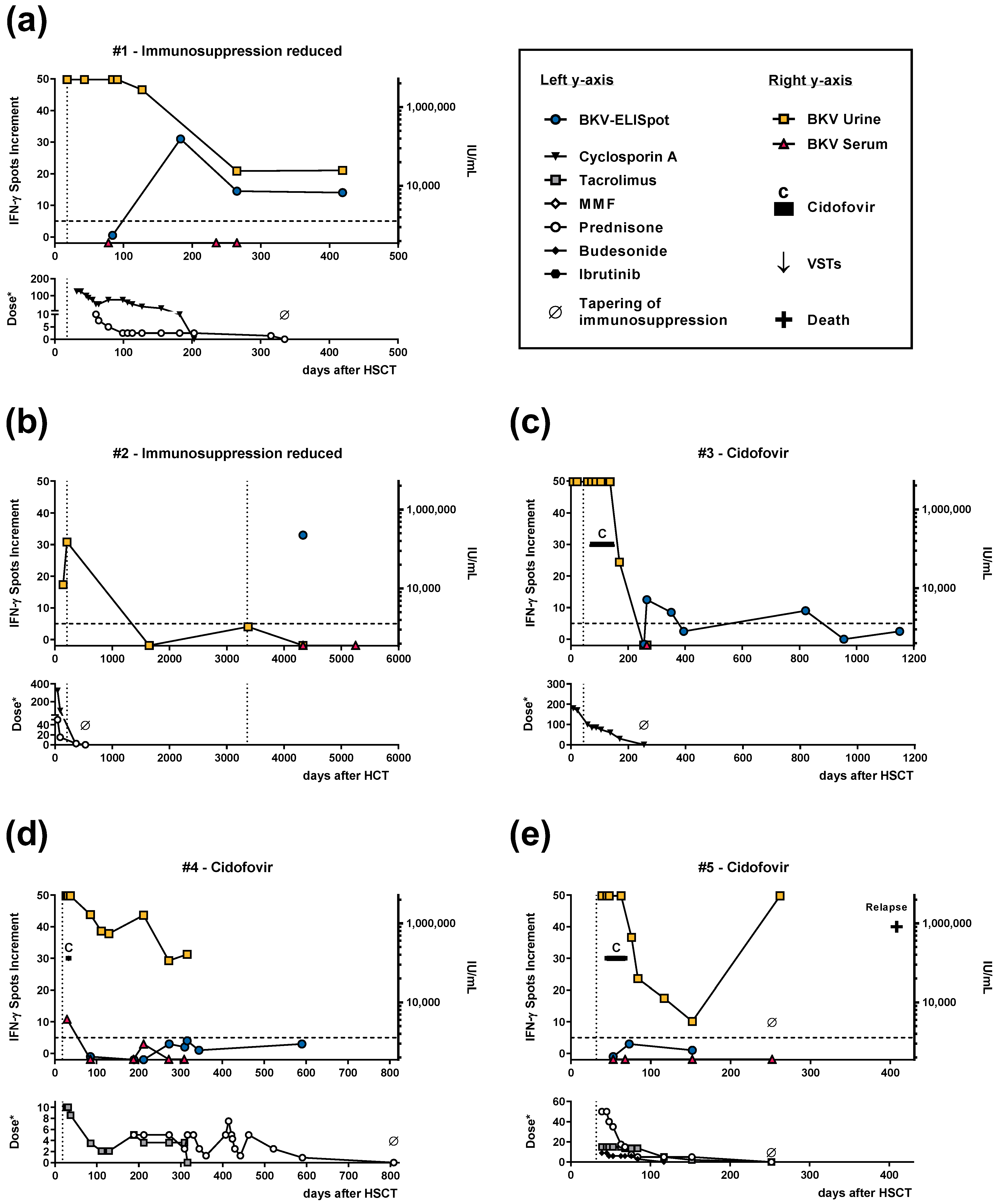 Vaccines 11 00845 g001a Vaccines 11 00845 g001a
