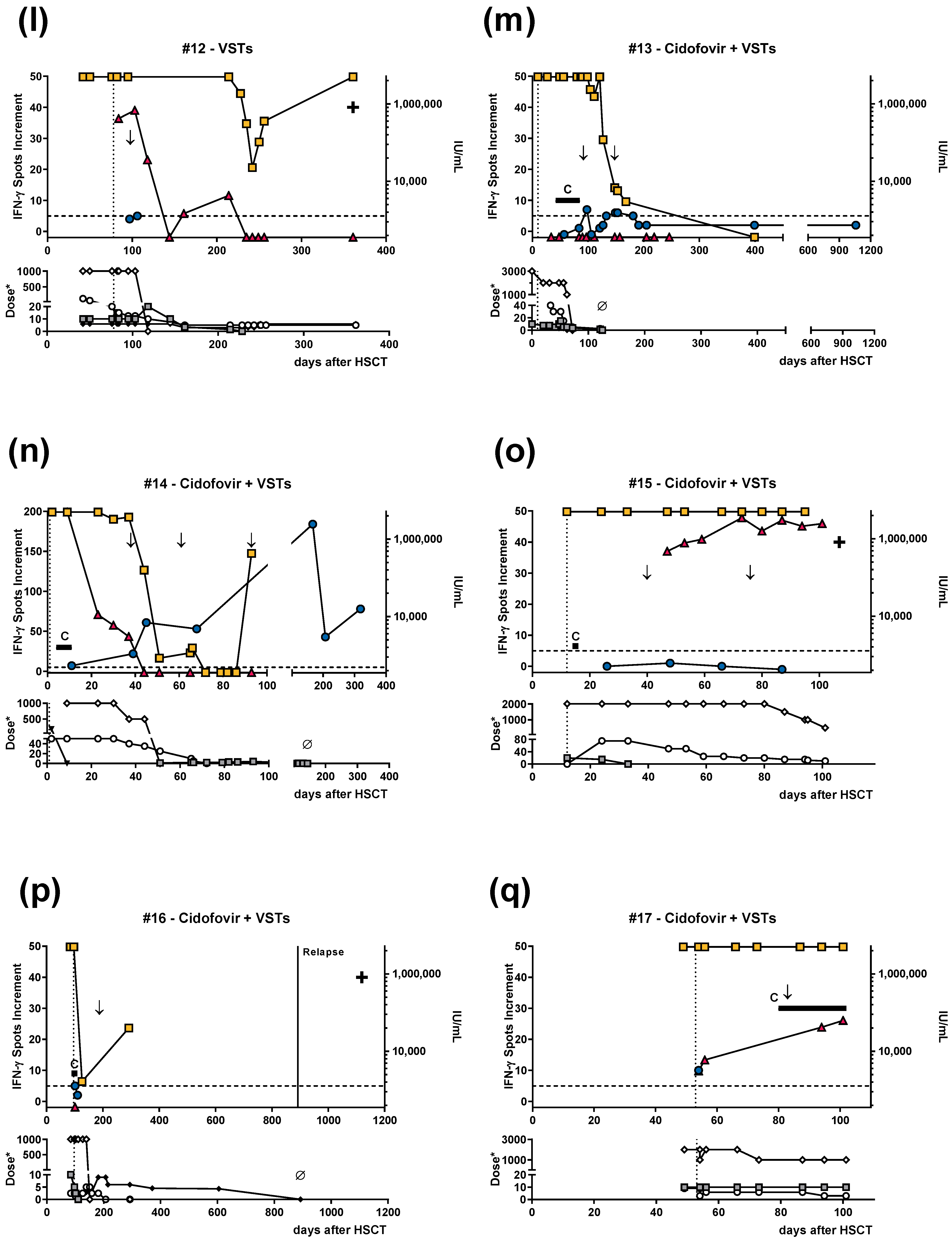 Vaccines 11 00845 g001c Vaccines 11 00845 g001c