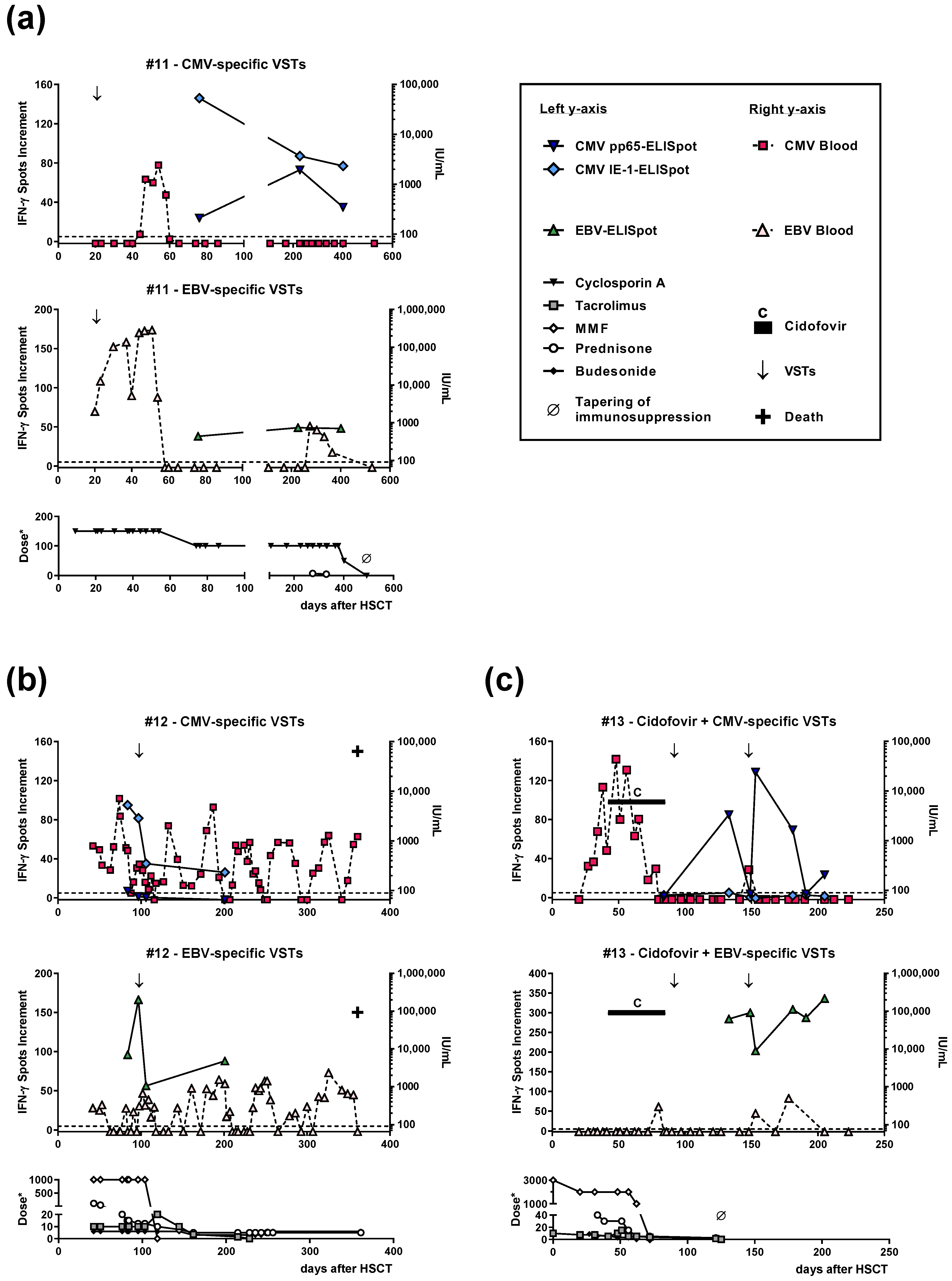Vaccines 11 00845 g002 Vaccines 11 00845 g002