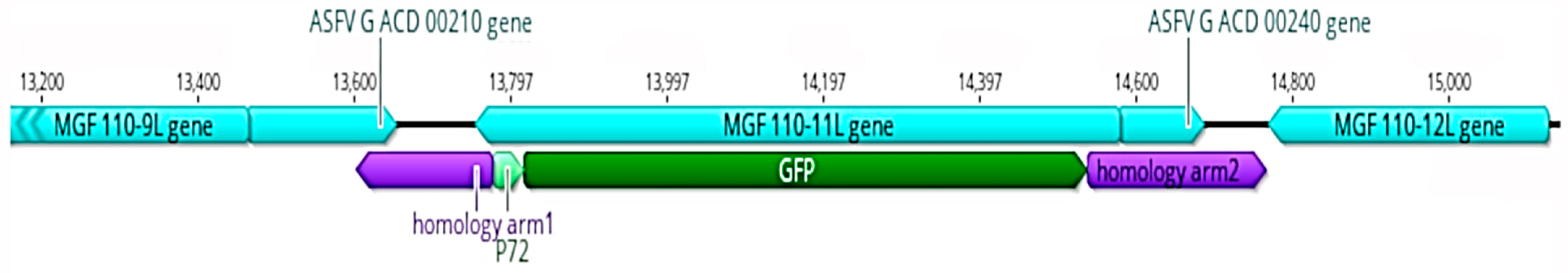 Vaccines 11 00846 g001 Vaccines 11 00846 g001