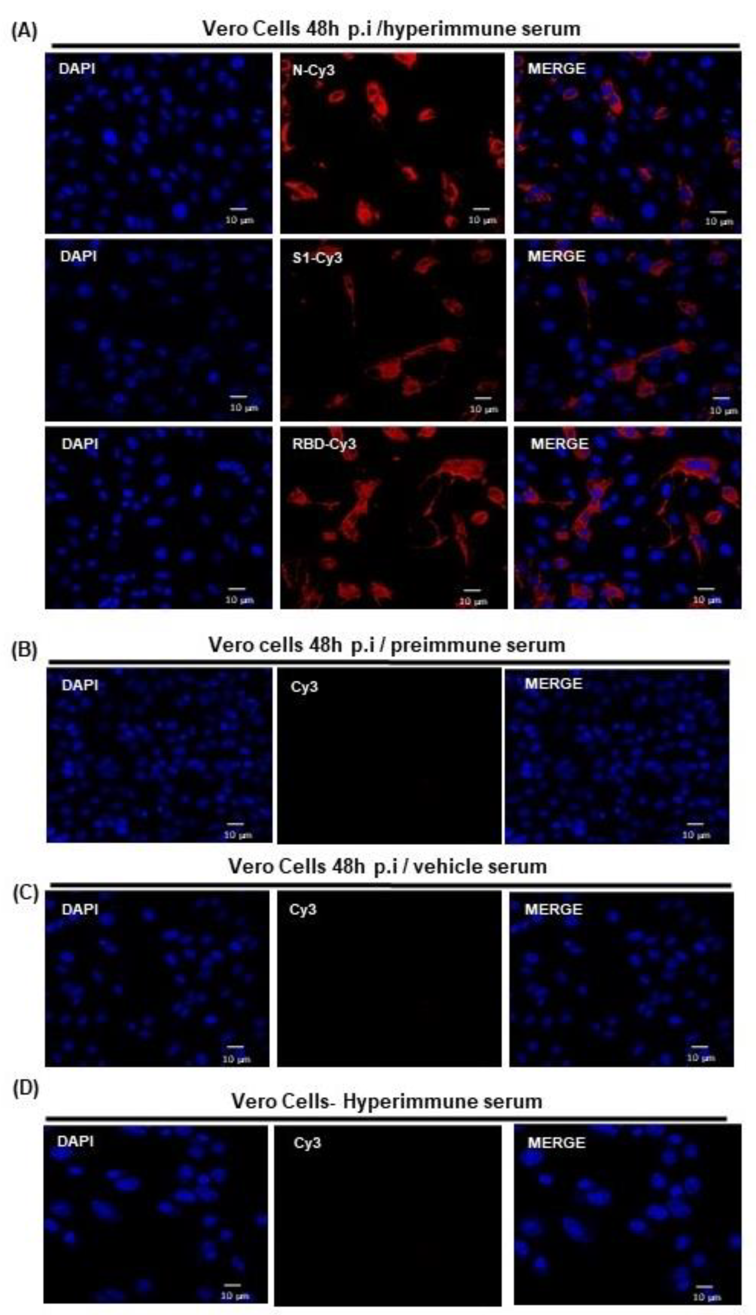 Vaccines 11 00864 g002 Vaccines 11 00864 g002