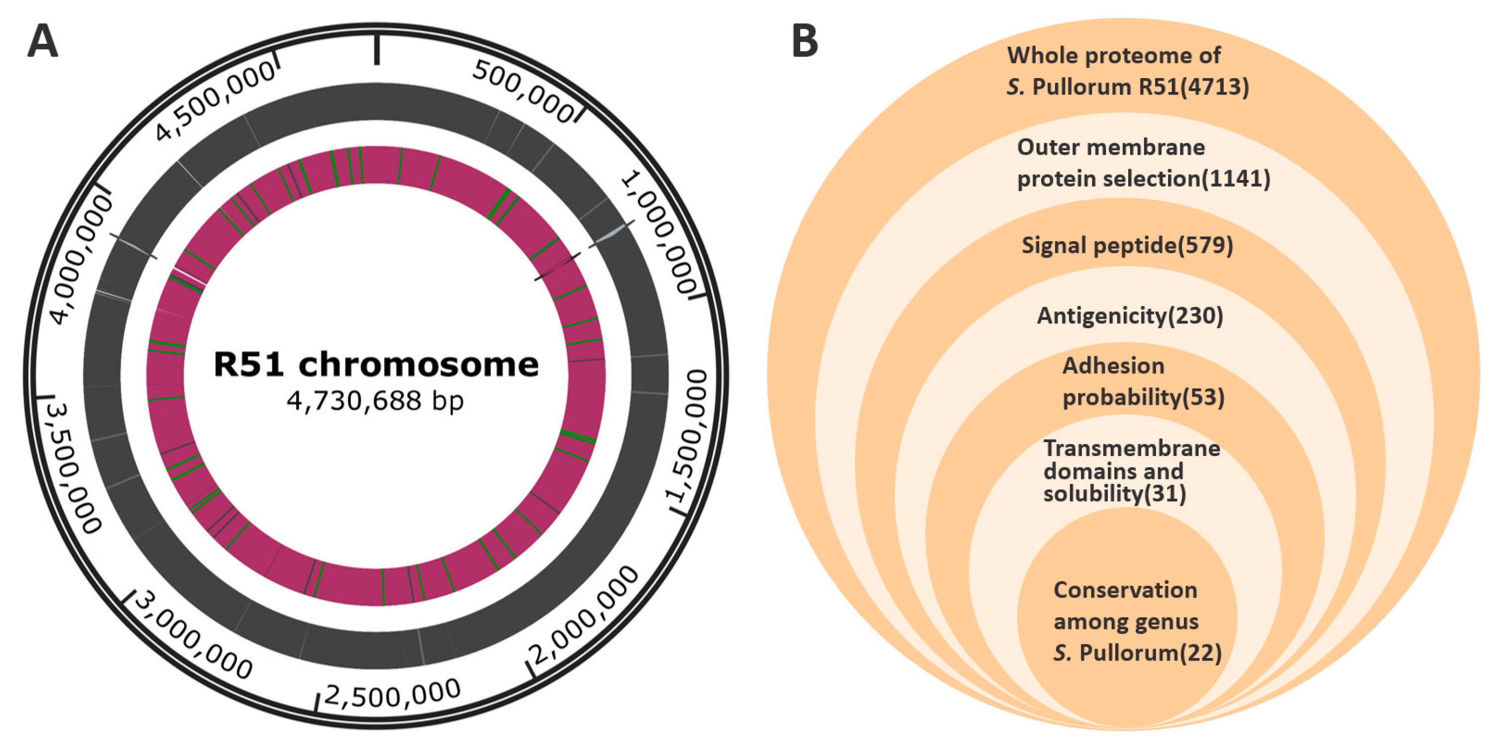 Vaccines 11 00865 g002 Vaccines 11 00865 g002