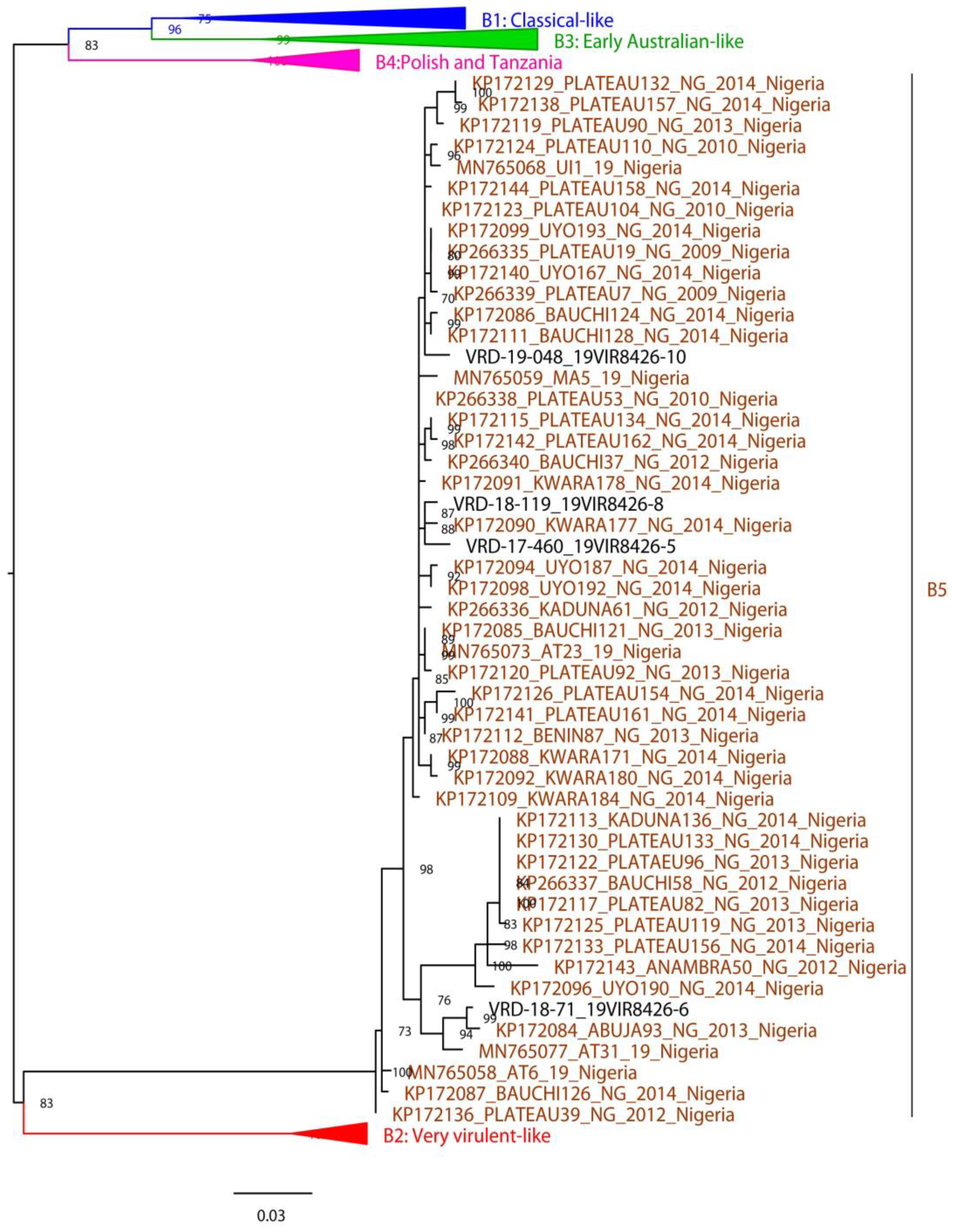 Vaccines 11 00867 g003 Vaccines 11 00867 g003