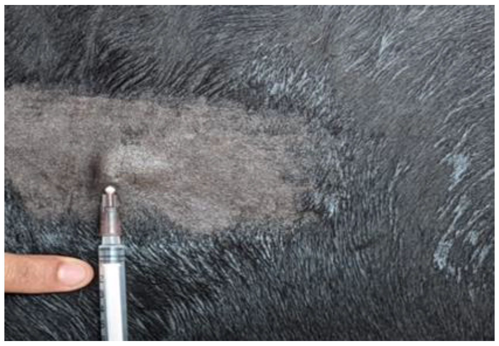 Vaccines 11 00885 g001 Vaccines 11 00885 g001