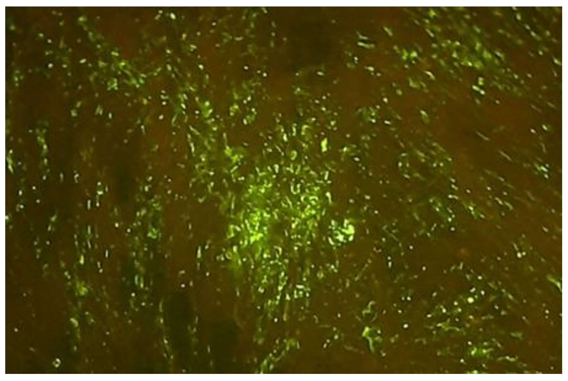 Vaccines 11 00885 g002 Vaccines 11 00885 g002