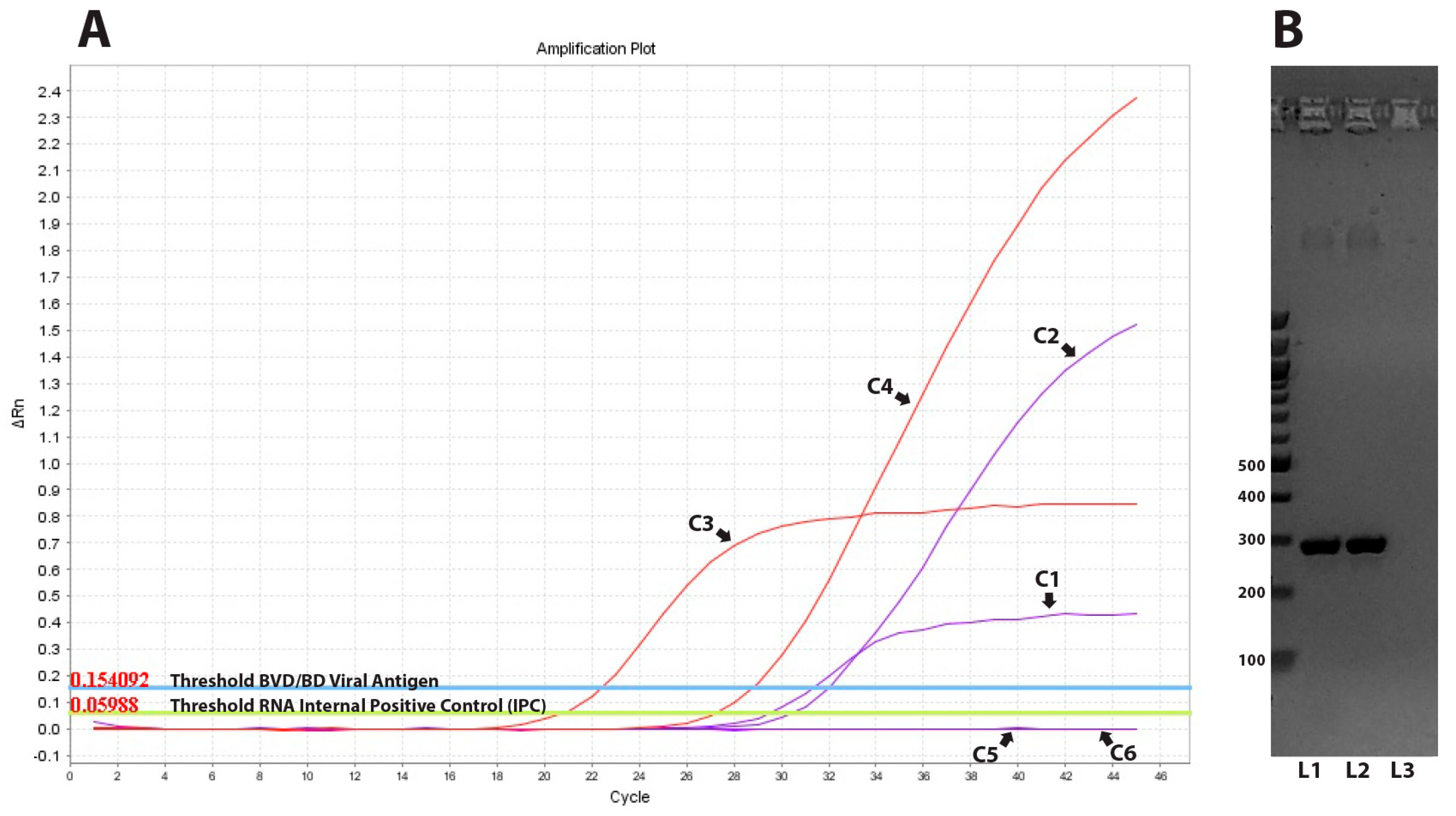 Vaccines 11 00918 g002 550