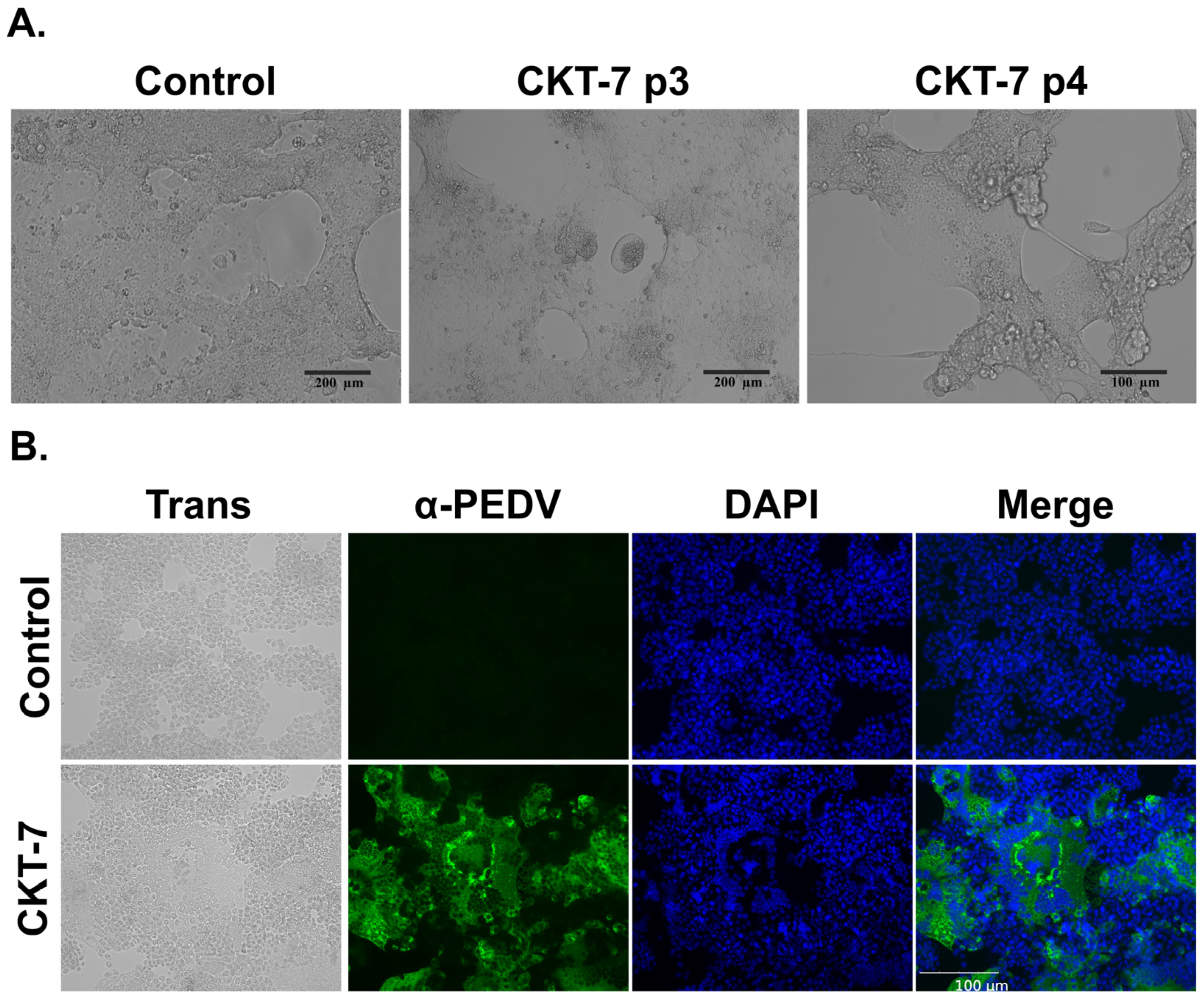 Vaccines 11 00923 g001