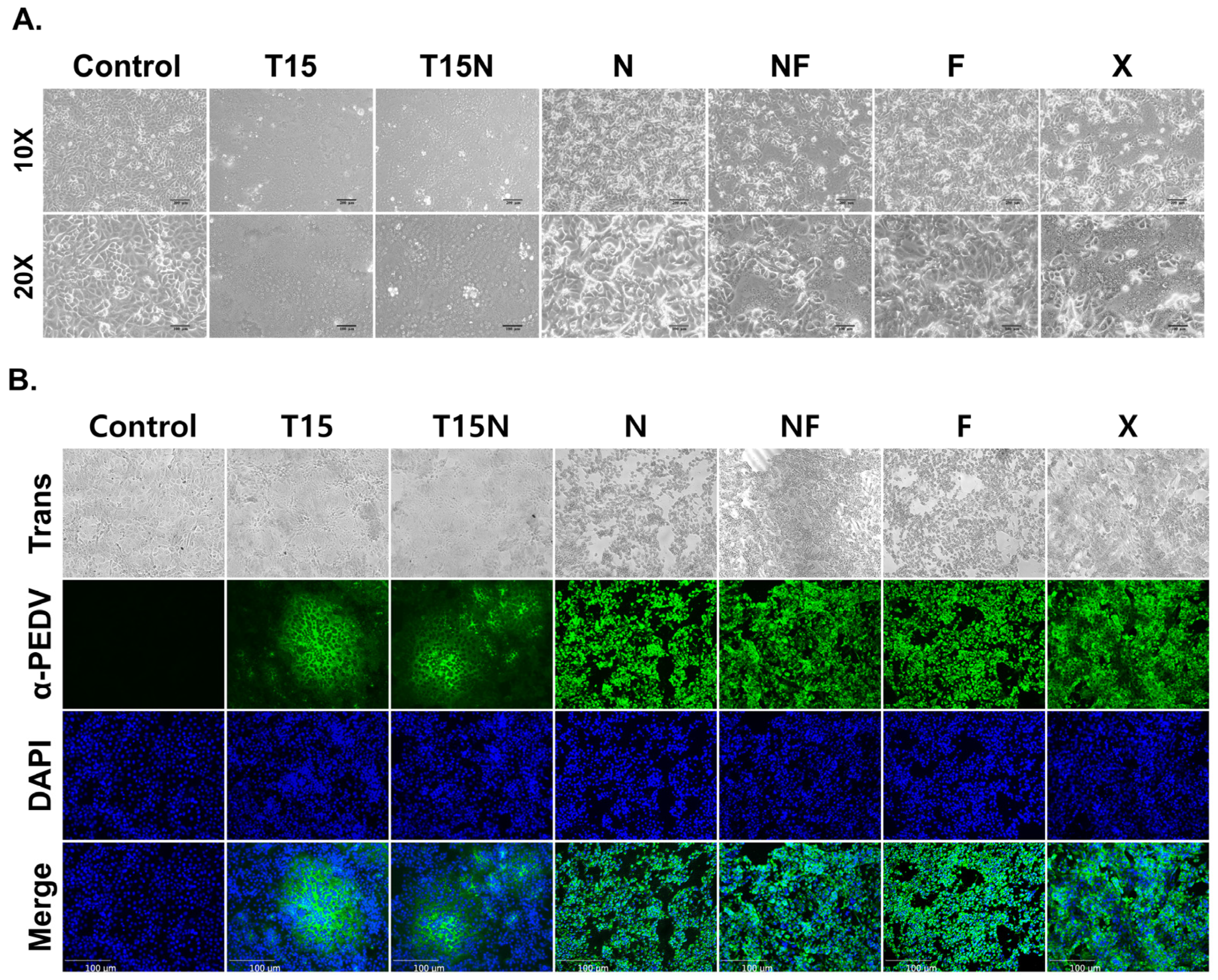 Vaccines 11 00923 g002