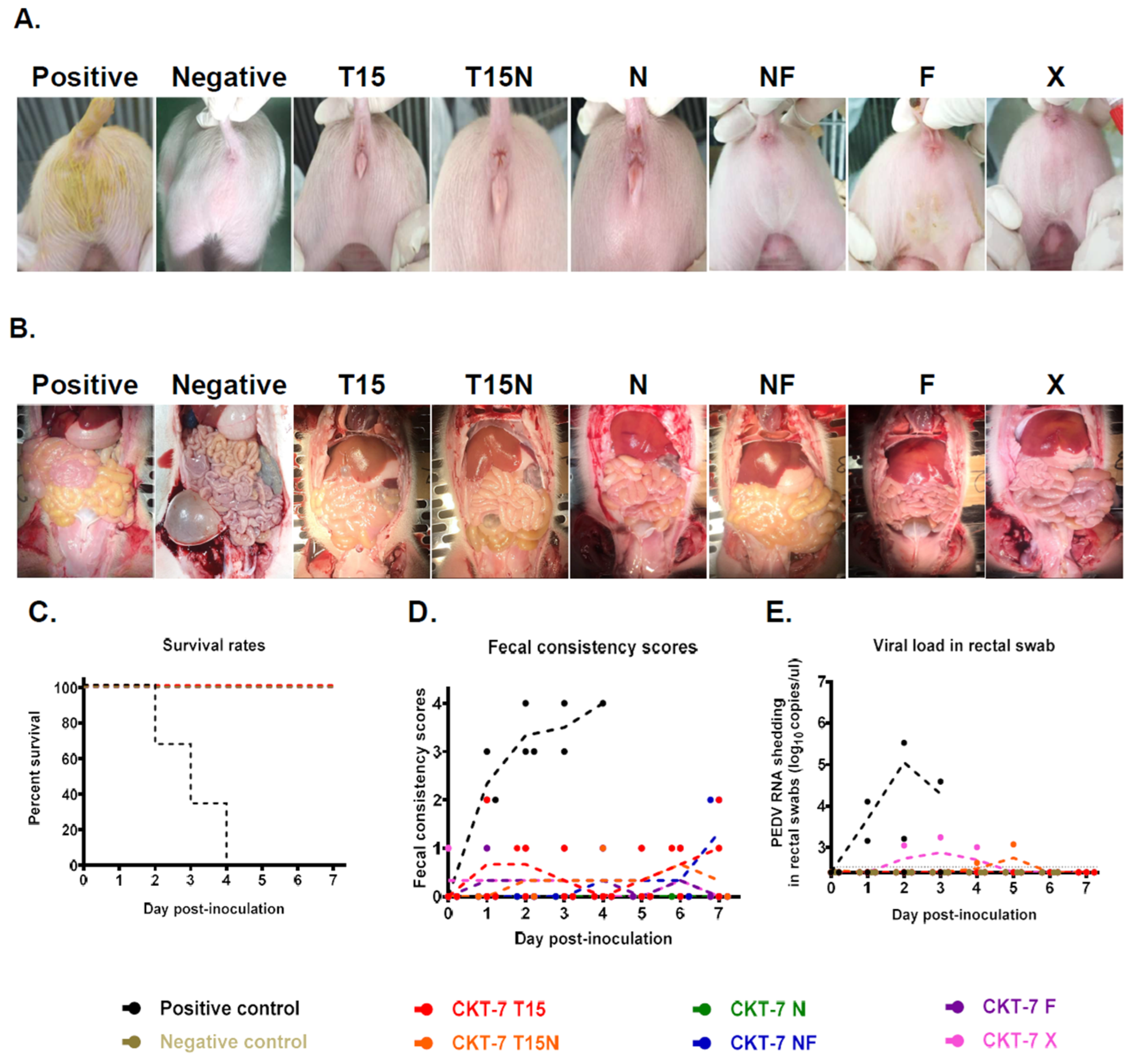 Vaccines 11 00923 g003