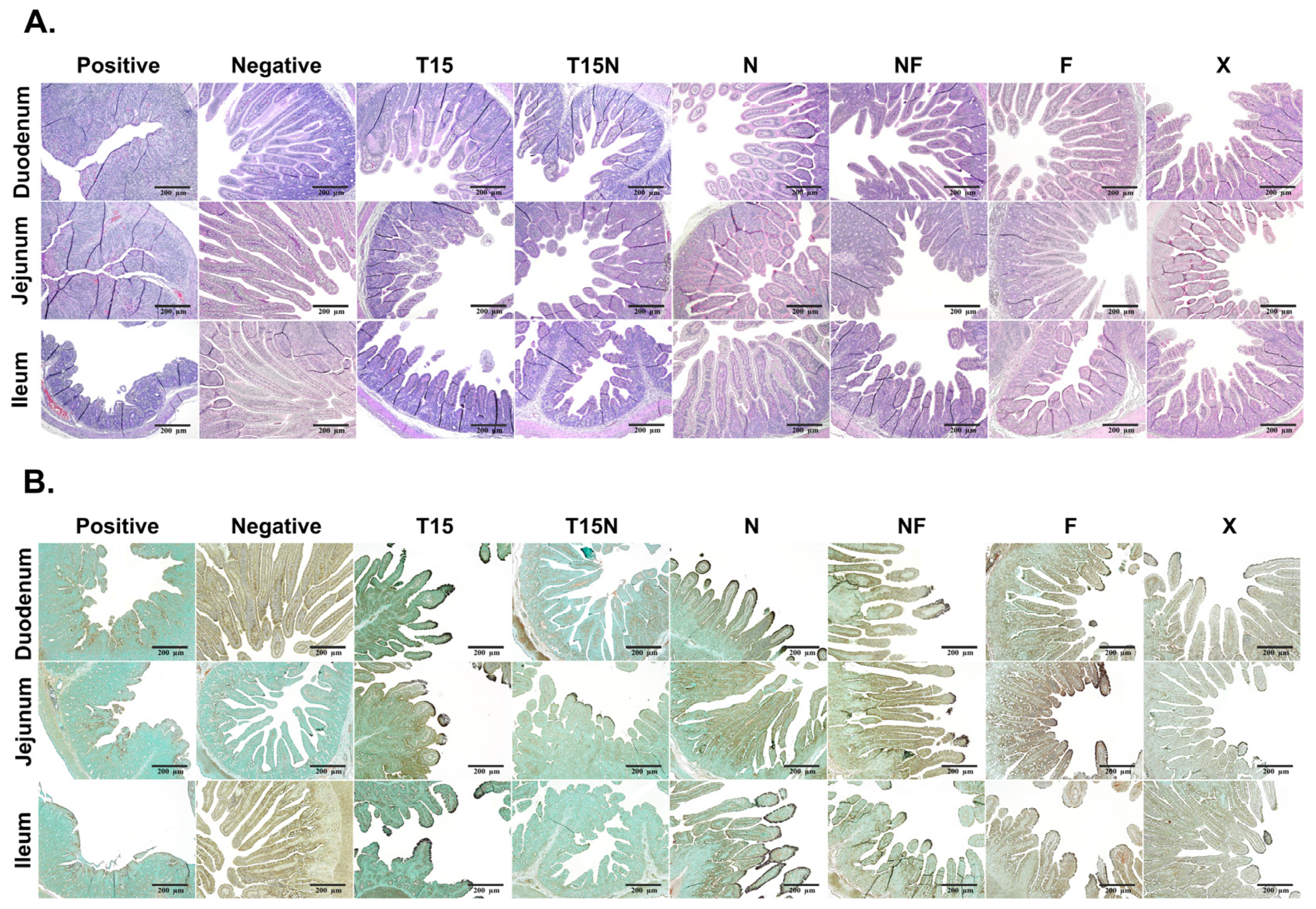 Vaccines 11 00923 g004