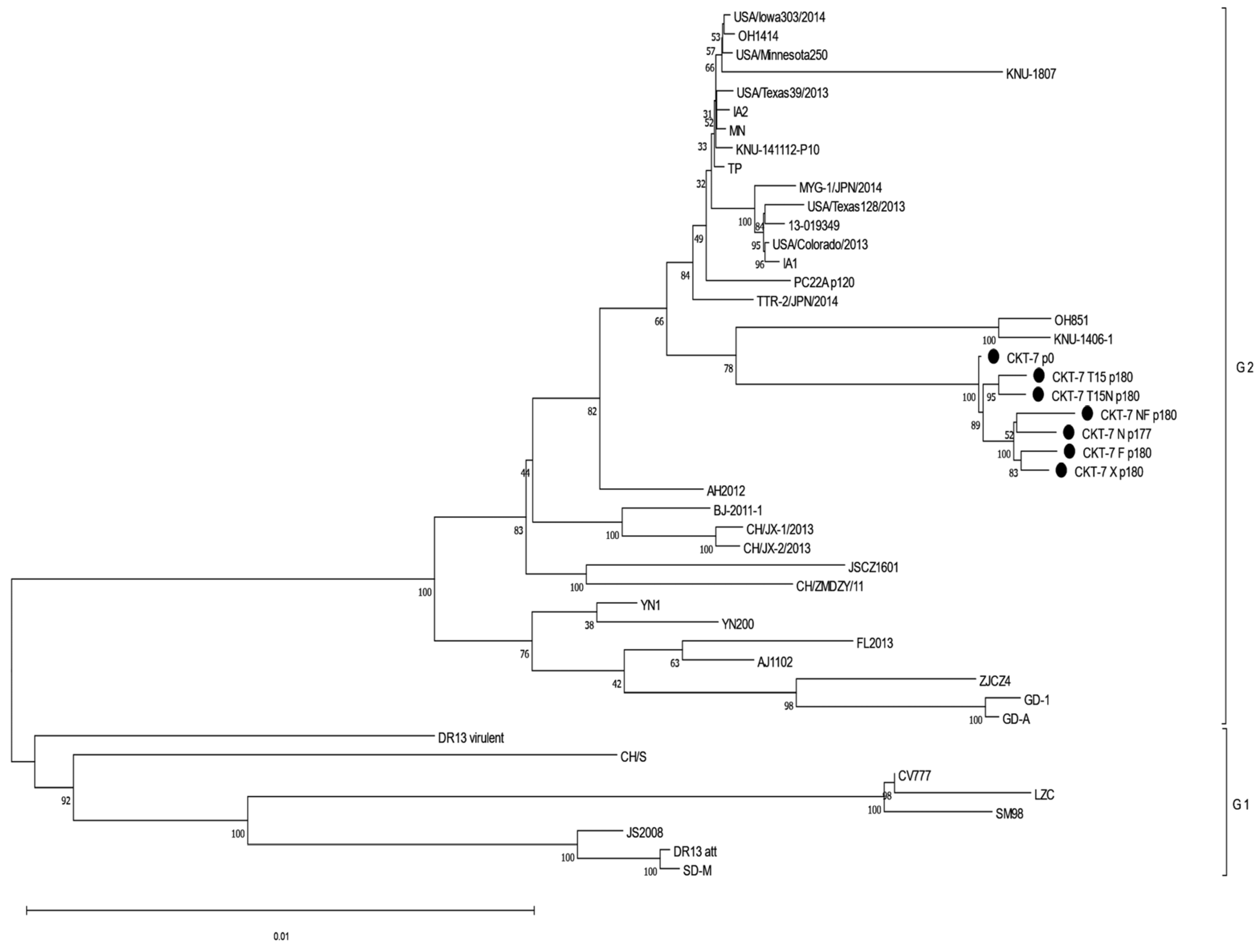 Vaccines 11 00923 g005