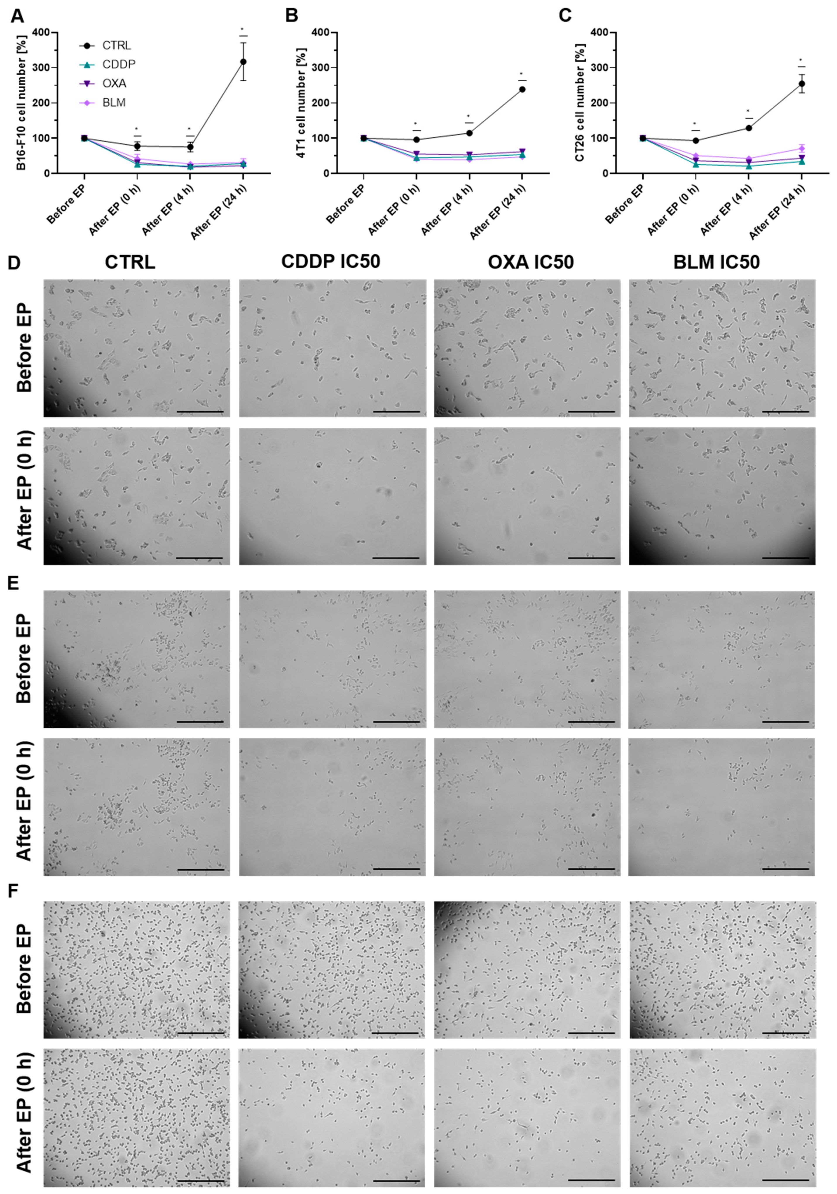 Vaccines 11 00925 g003 Vaccines 11 00925 g003
