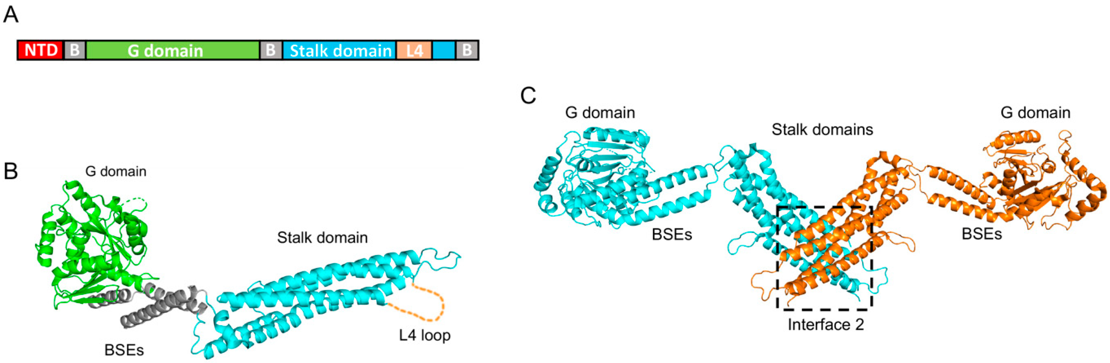 Vaccines 11 00930 g002 Vaccines 11 00930 g002