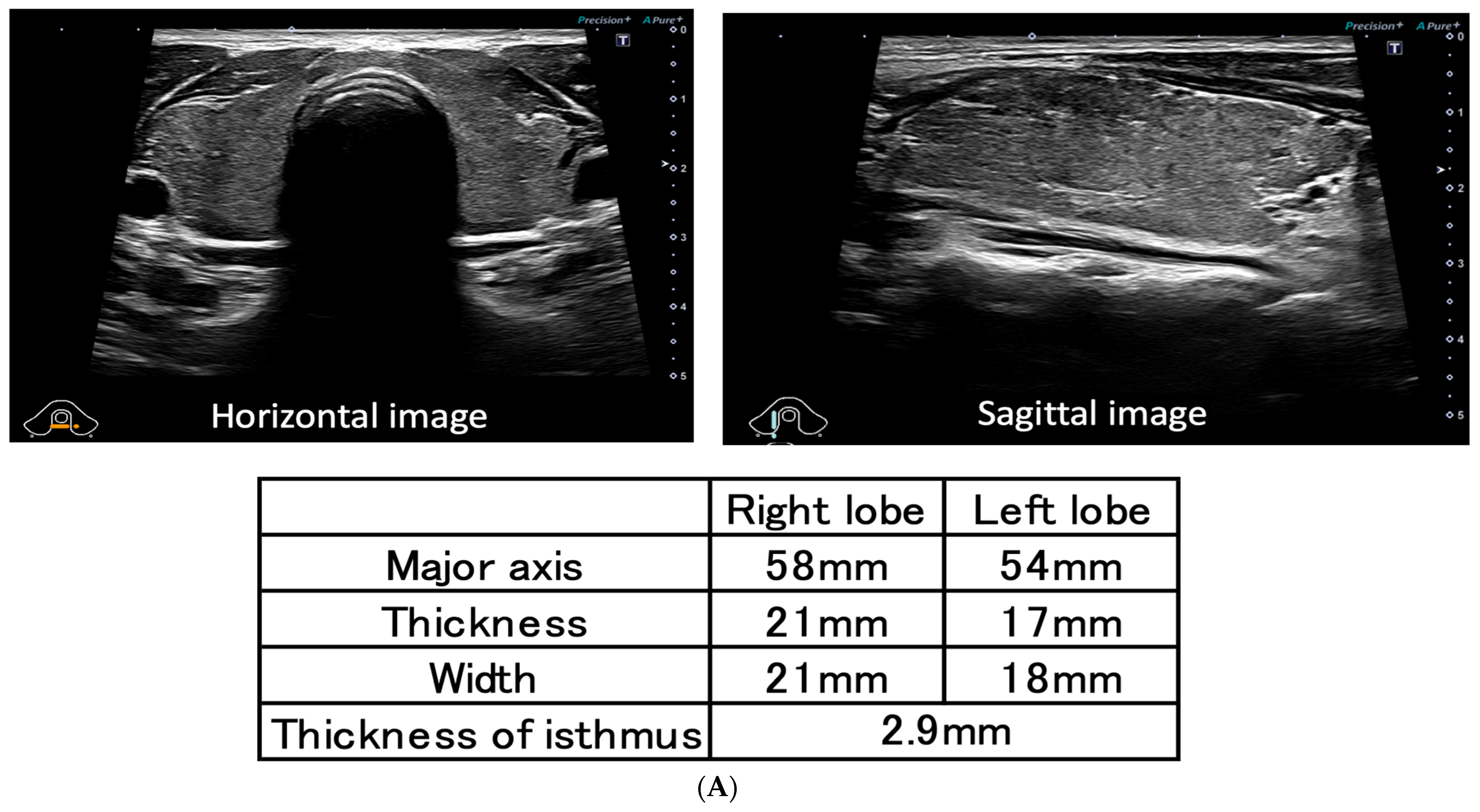 Vaccines 11 00934 g001a Vaccines 11 00934 g001a
