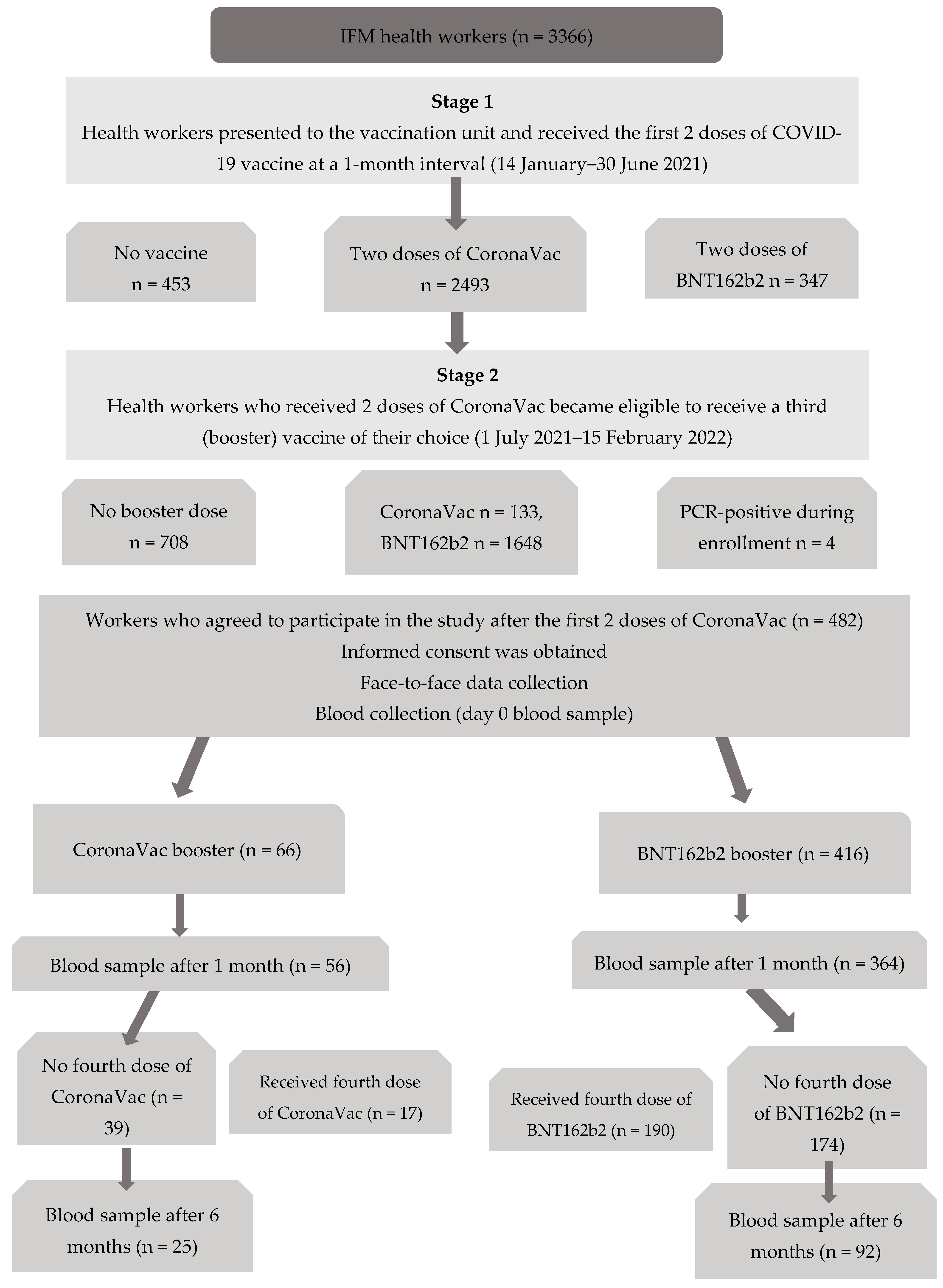 Vaccines 11 00935 g001