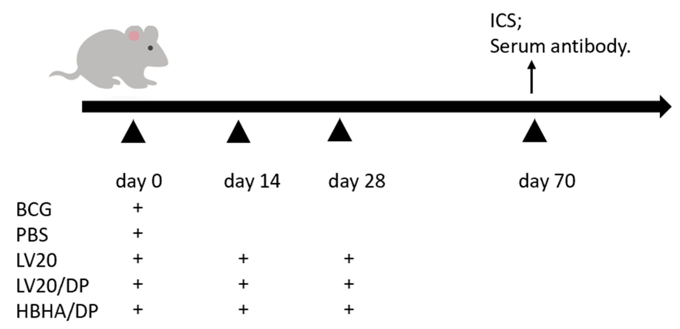 Vaccines 11 00941 g002