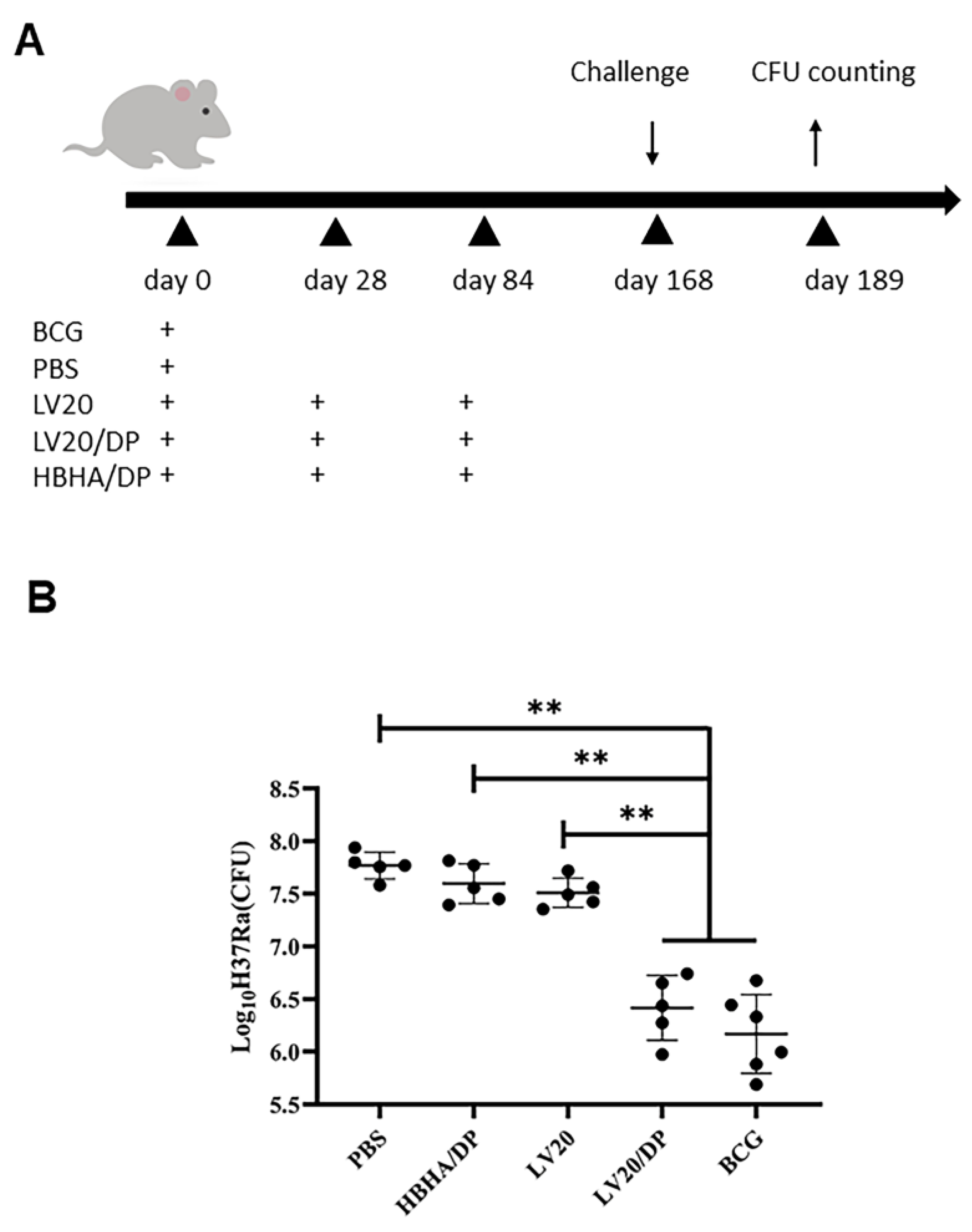 Vaccines 11 00941 g007