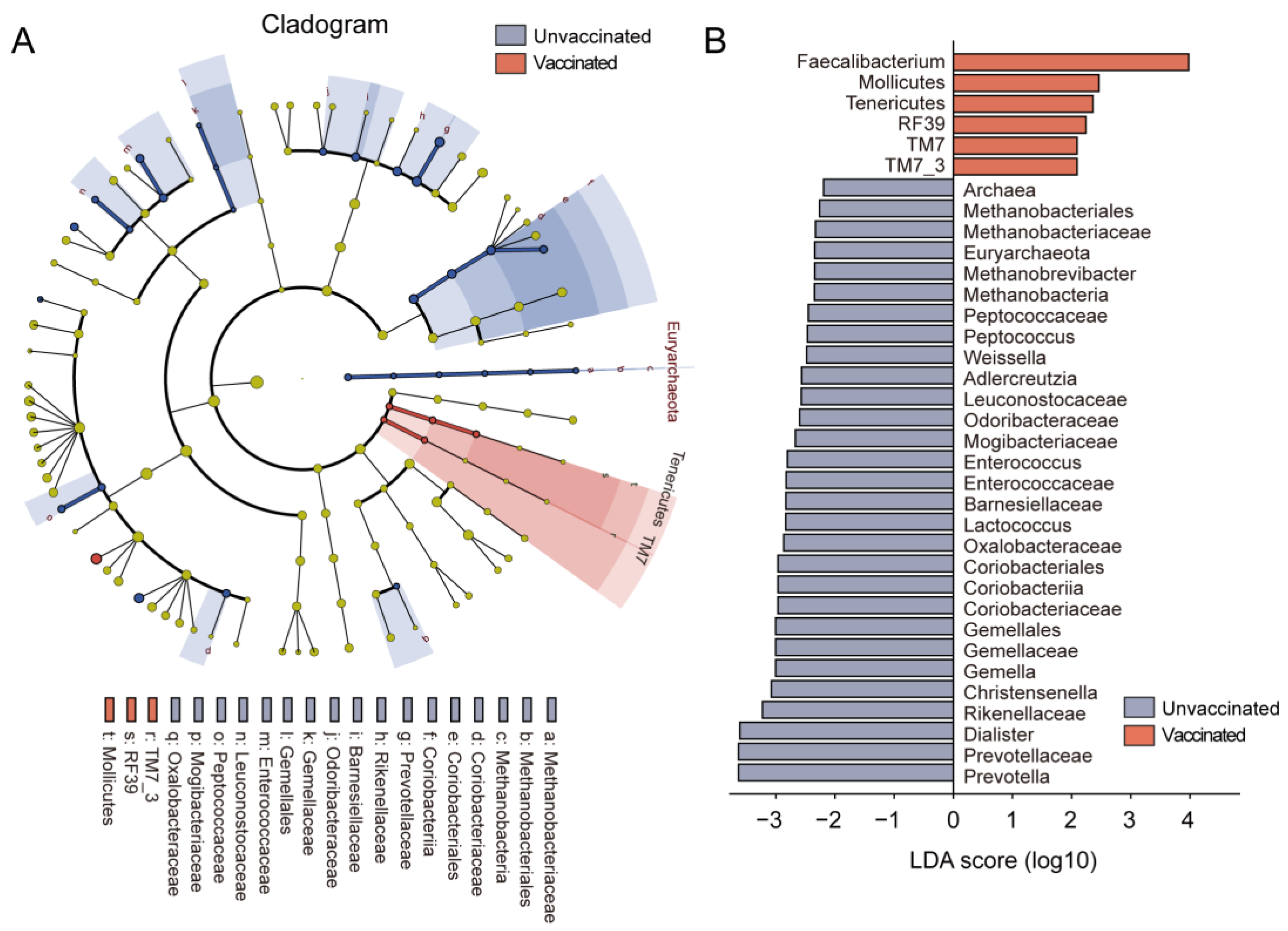 Vaccines 11 00942 g003 Vaccines 11 00942 g003