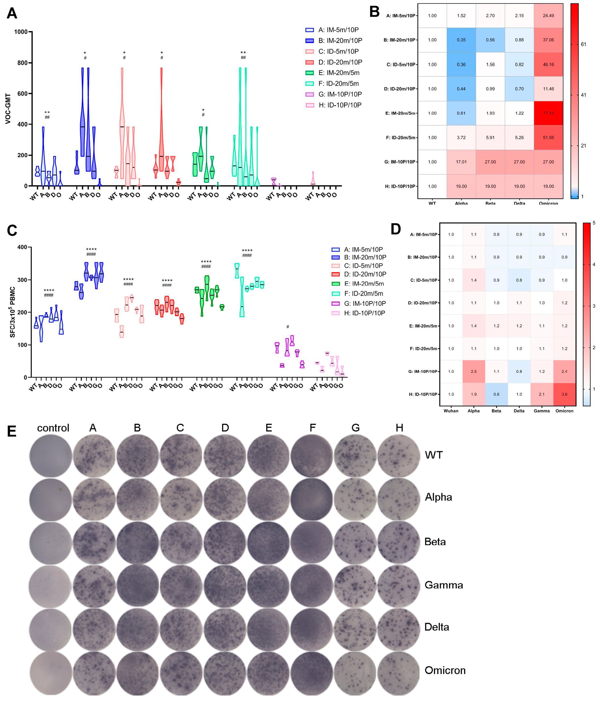 Vaccines 11 00963 g005