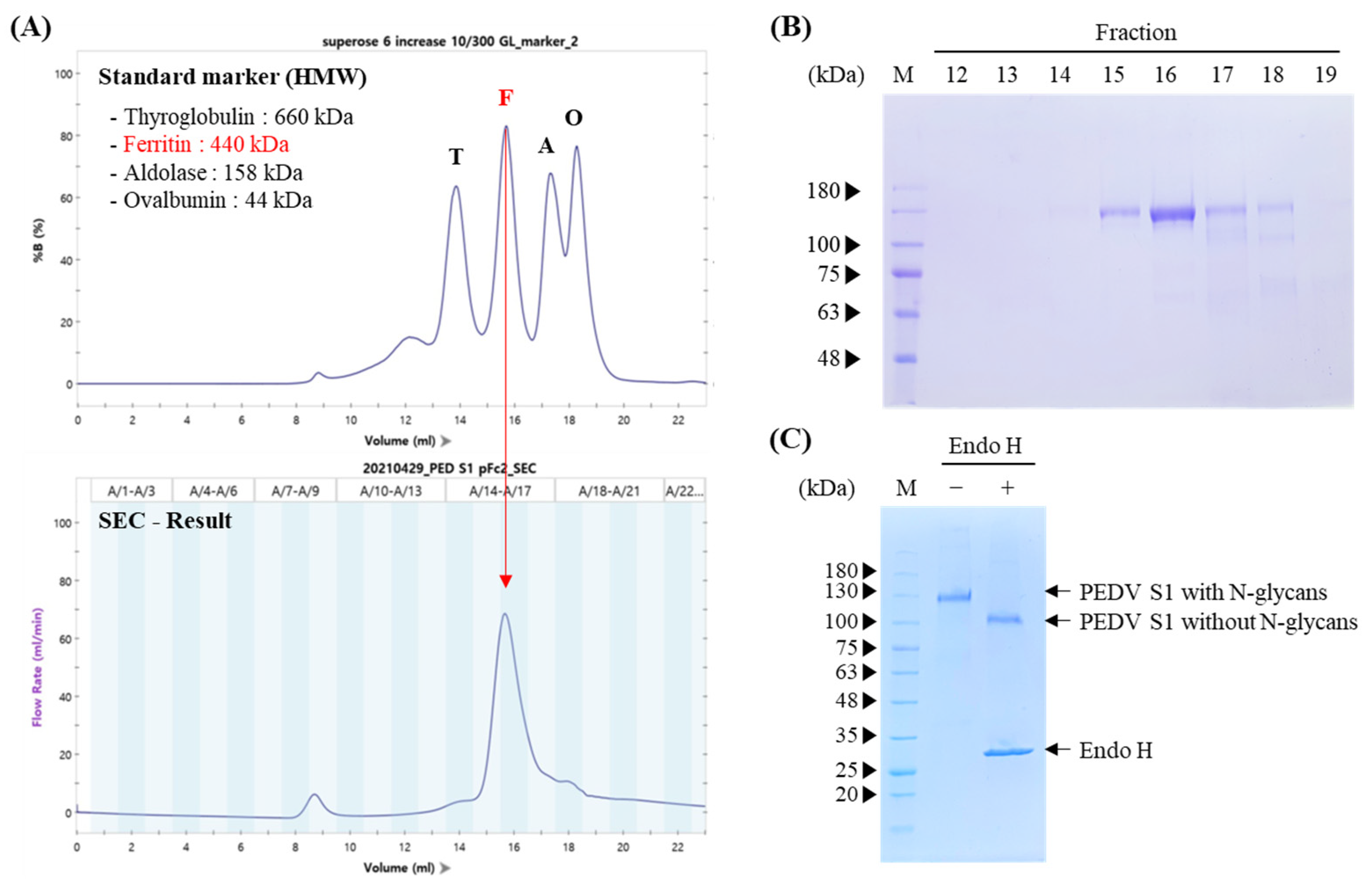 Vaccines 11 00965 g002