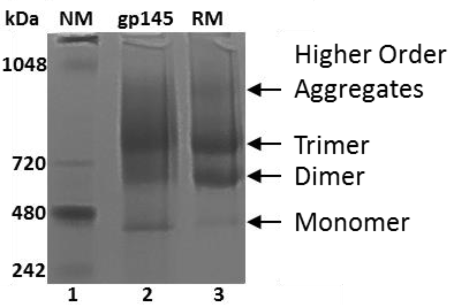 Vaccines 11 00975 g006 Vaccines 11 00975 g006