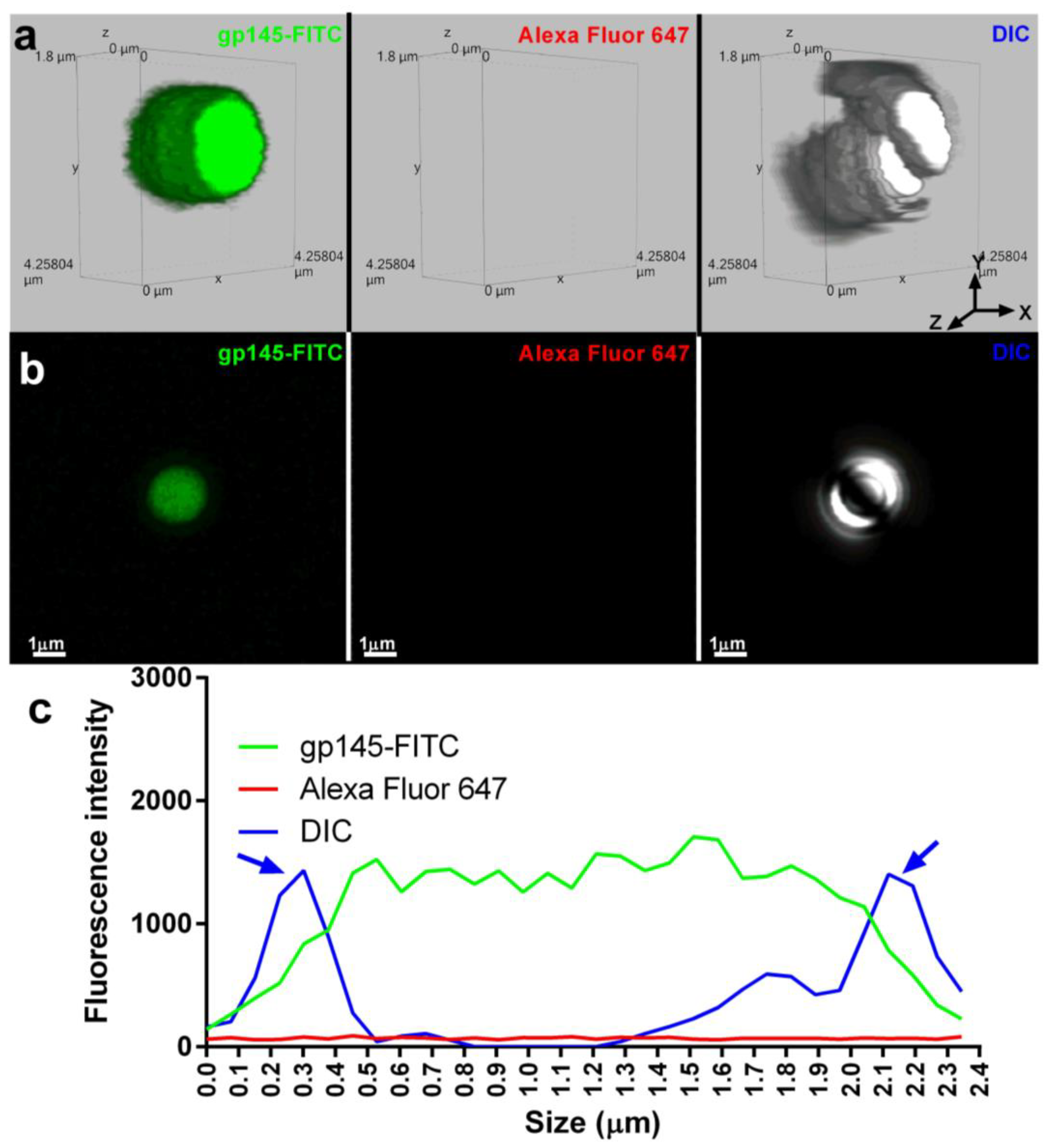 Vaccines 11 00975 g009a Vaccines 11 00975 g009a
