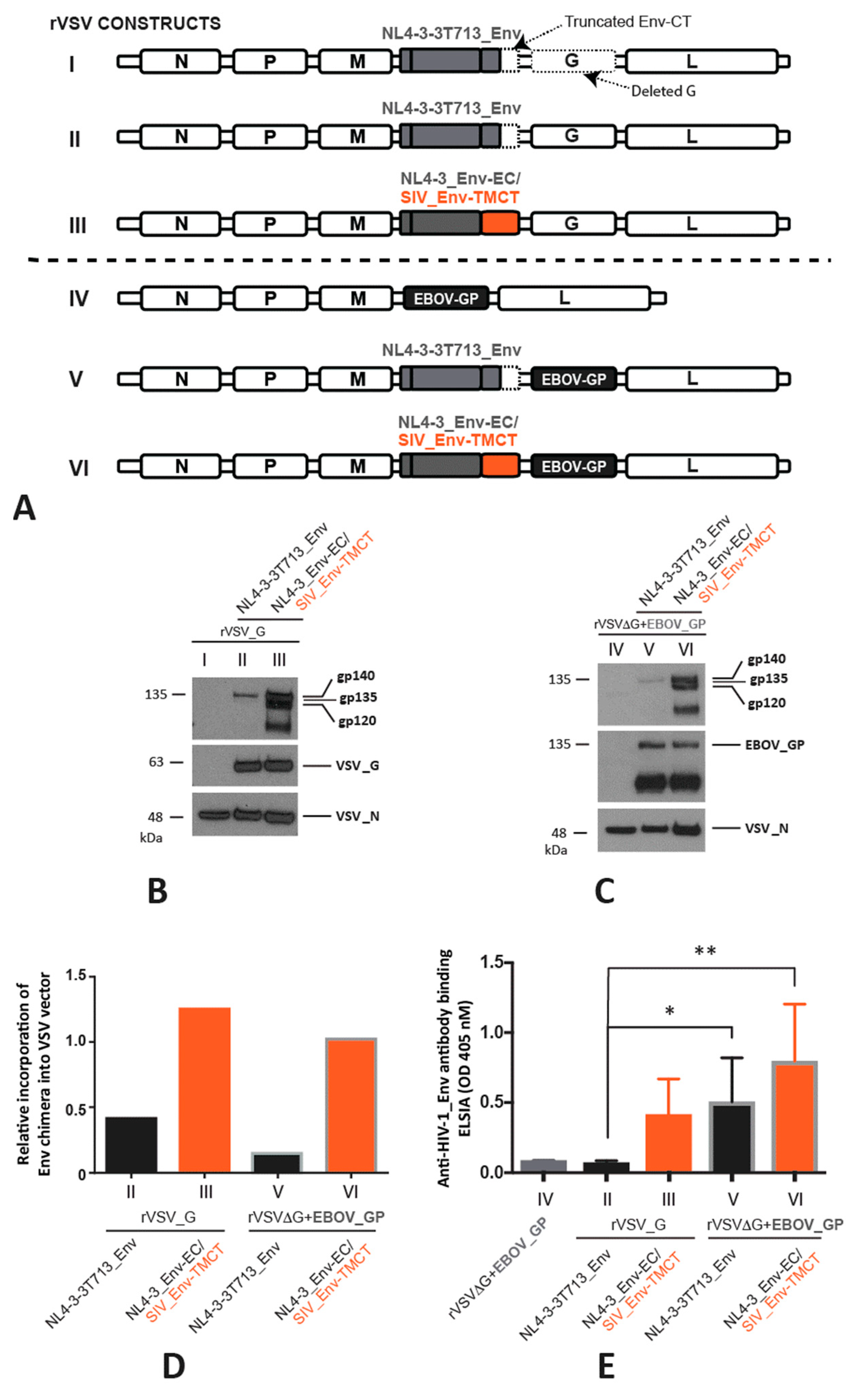 Vaccines 11 00977 g001