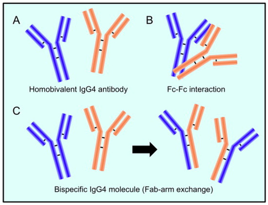 Vaccines 11 00991 g001 550