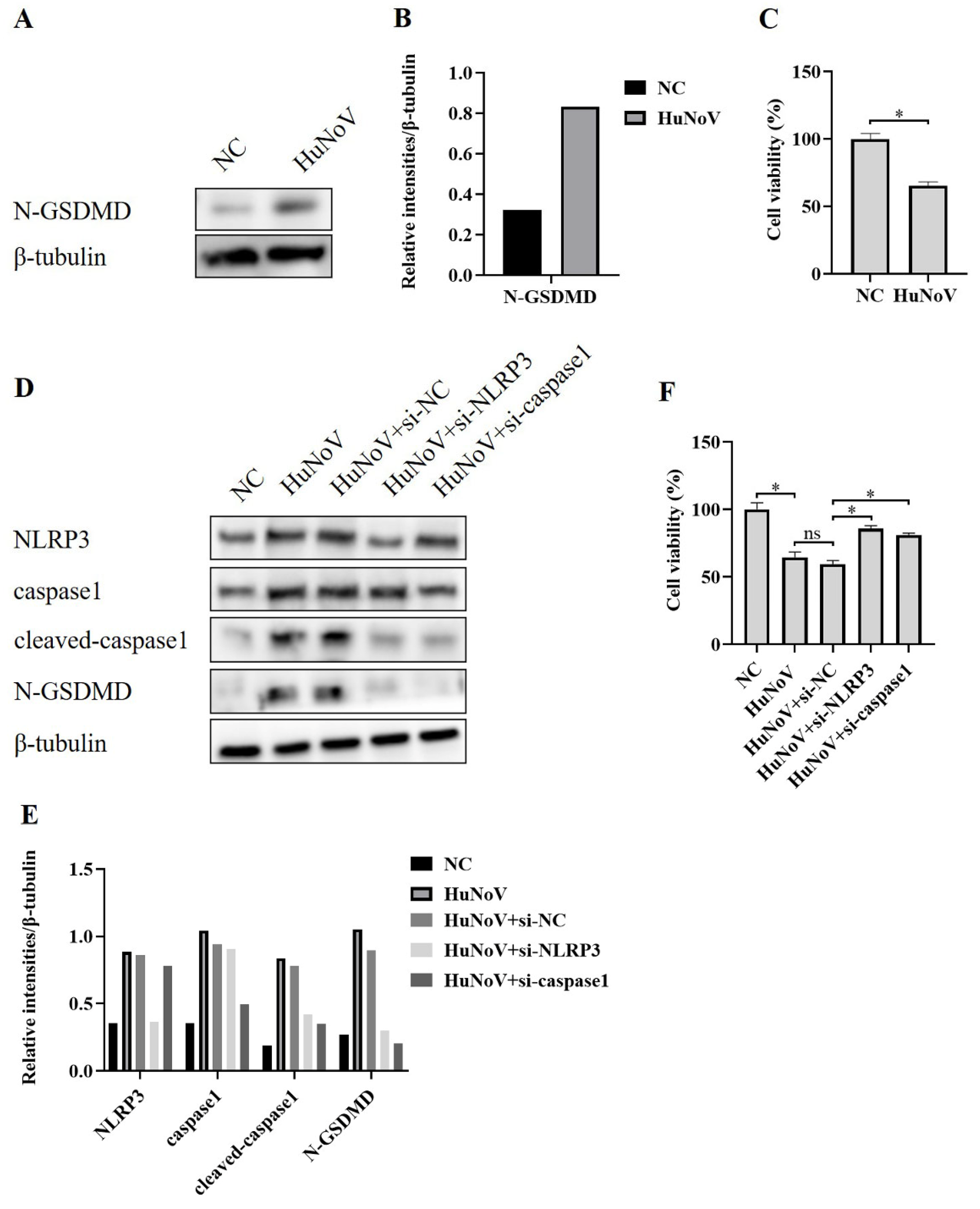 Vaccines 11 00993 g003