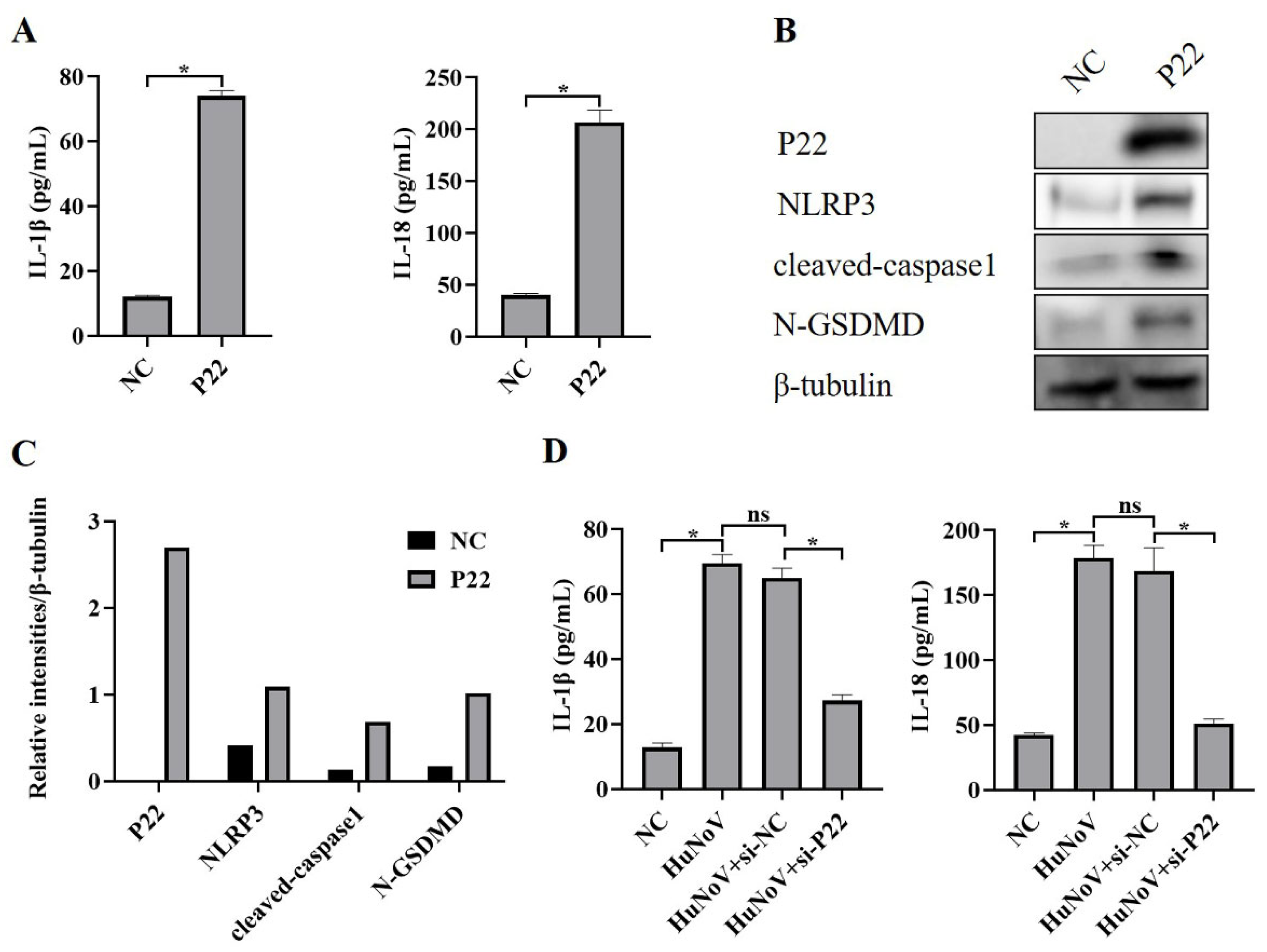Vaccines 11 00993 g004