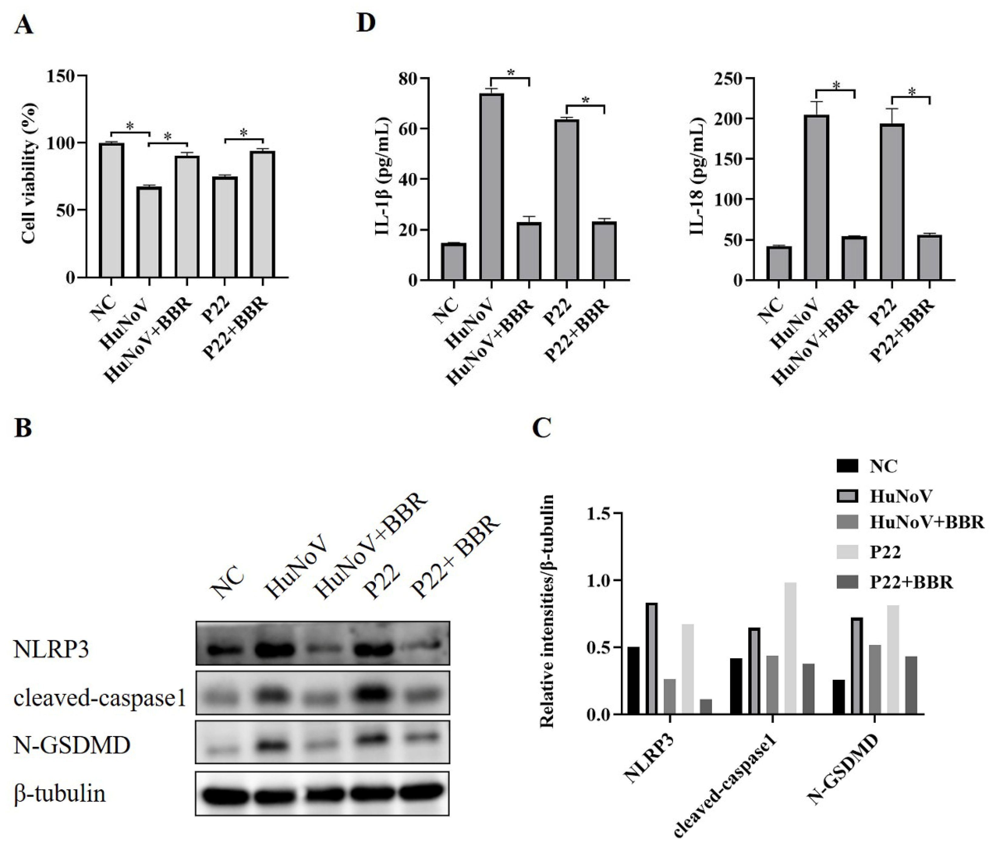 Vaccines 11 00993 g005