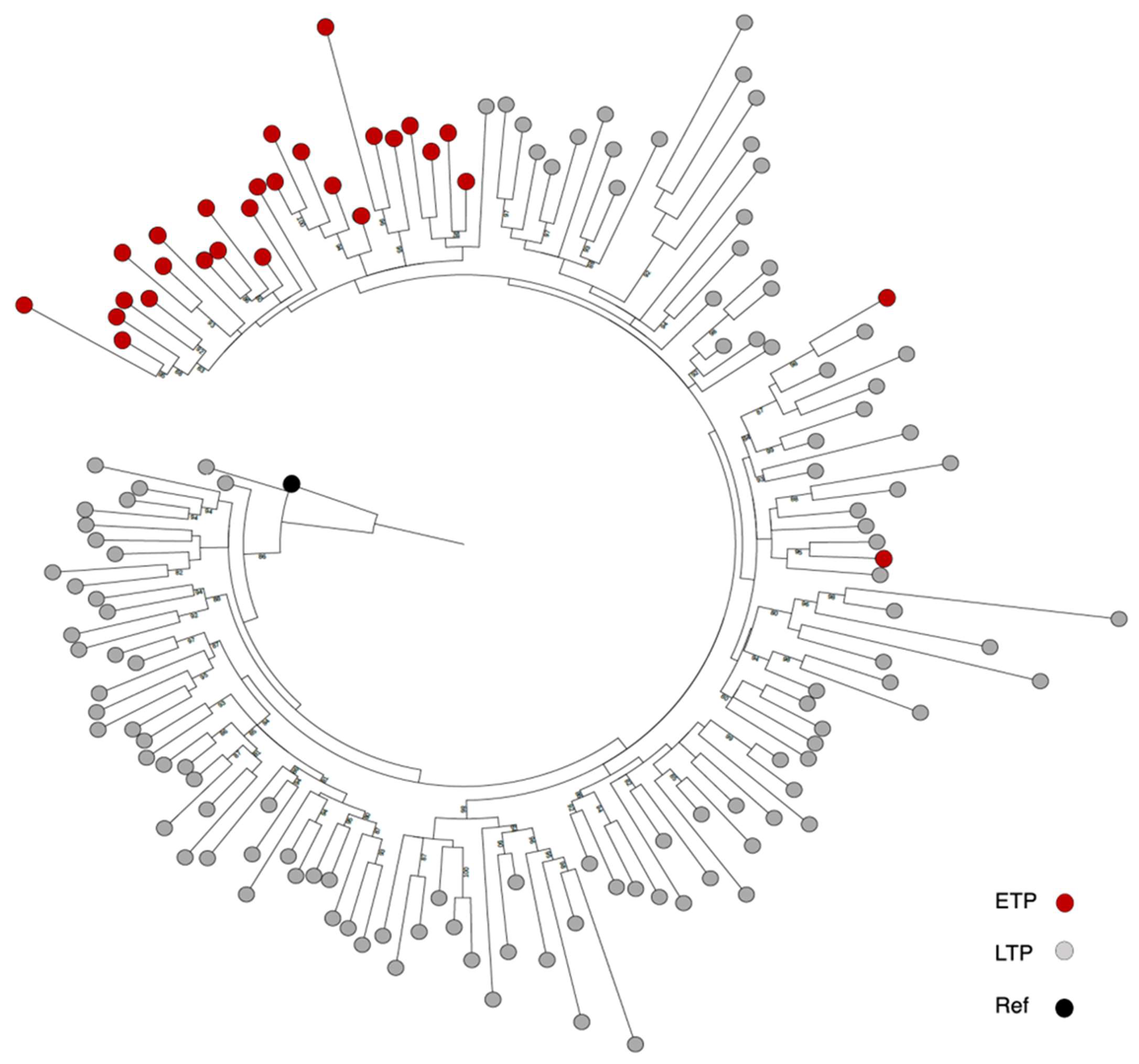 Vaccines 11 01000 g002 Vaccines 11 01000 g002