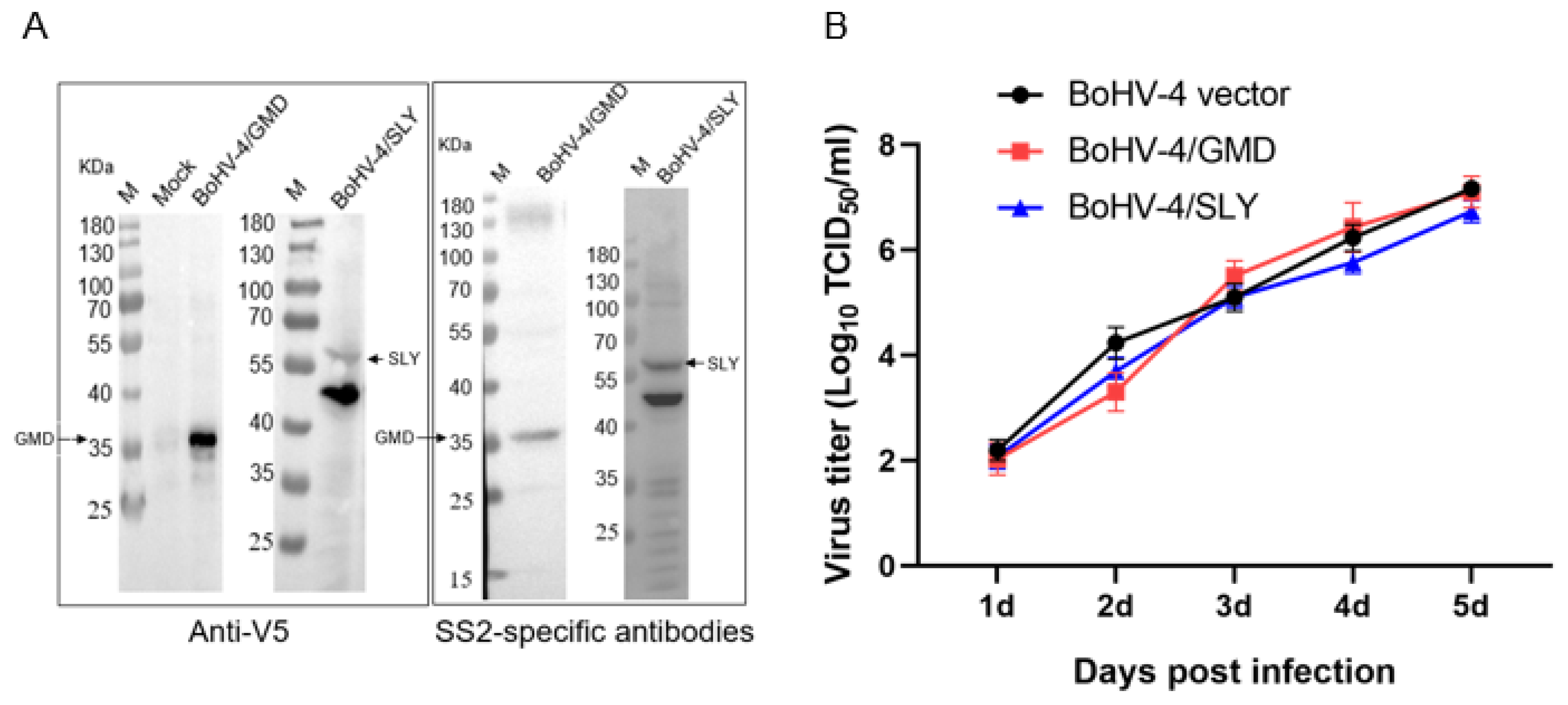 Vaccines 11 01004 g003