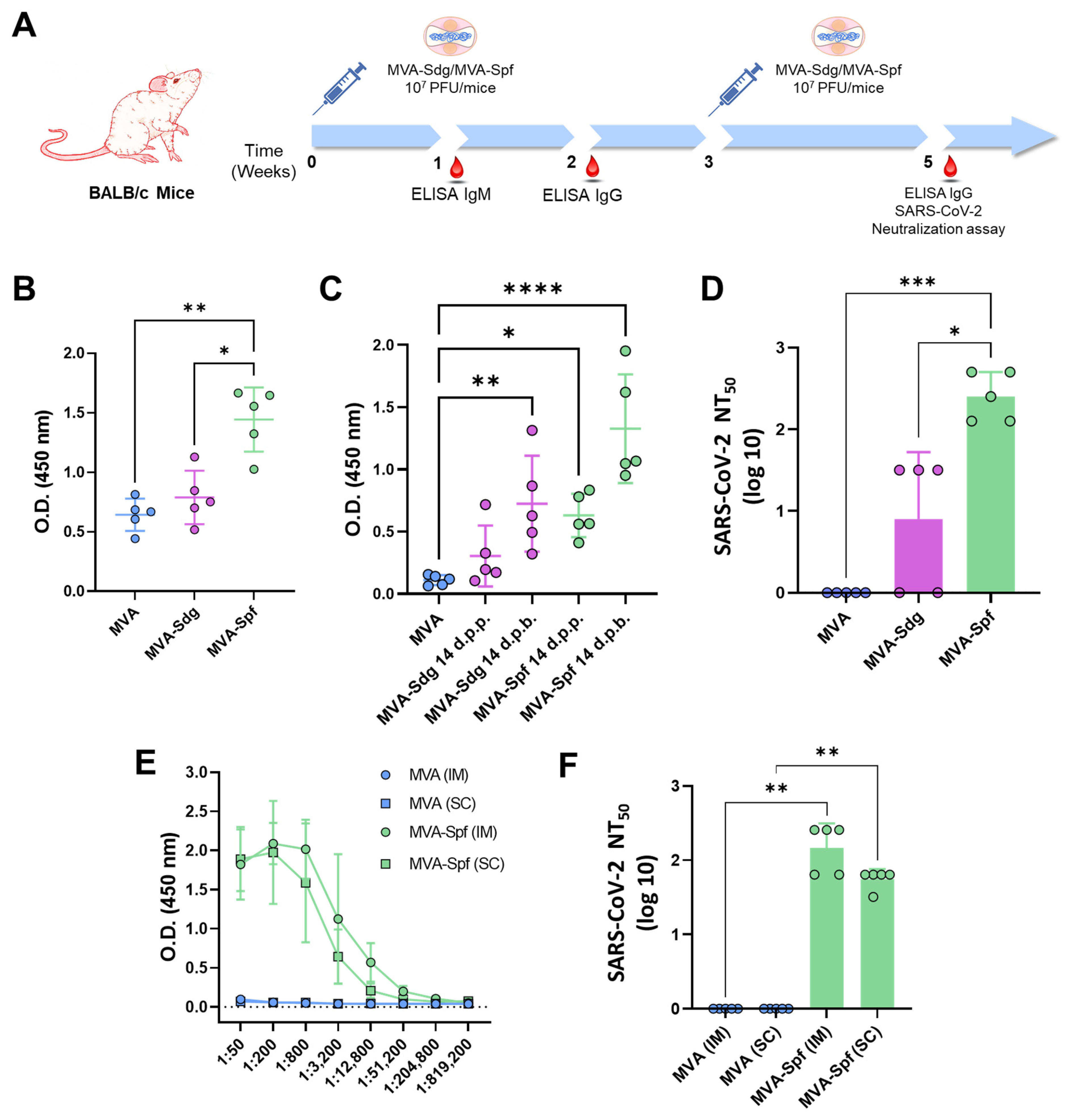 Vaccines 11 01006 g003