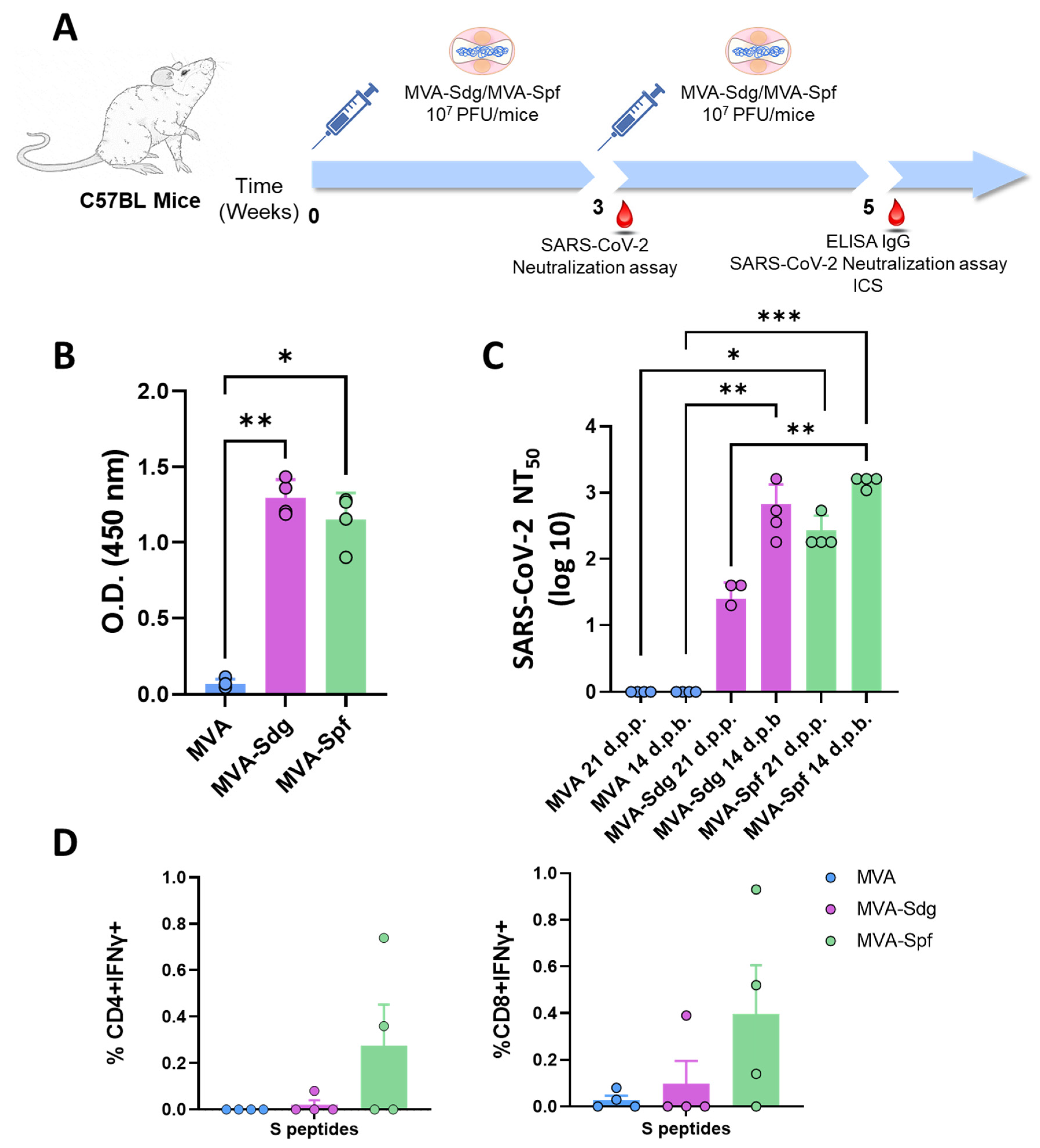 Vaccines 11 01006 g004