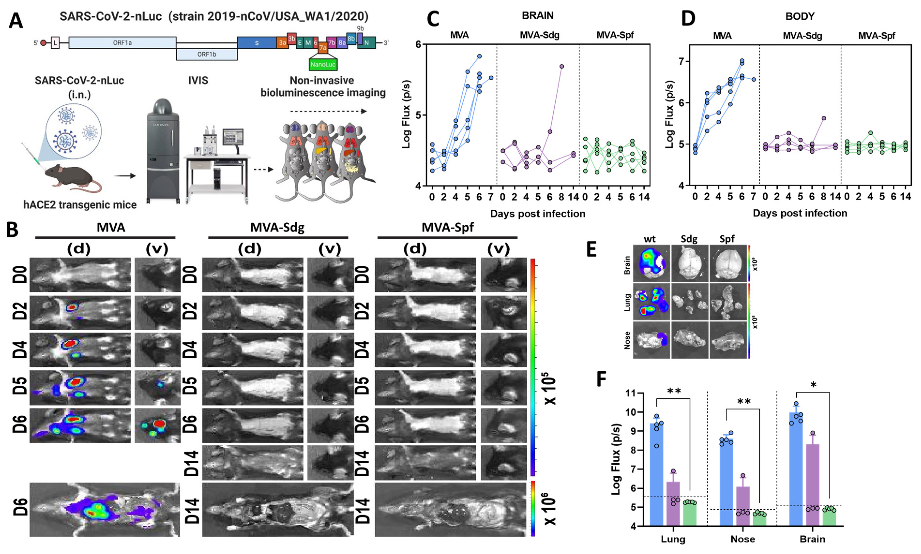 Vaccines 11 01006 g006
