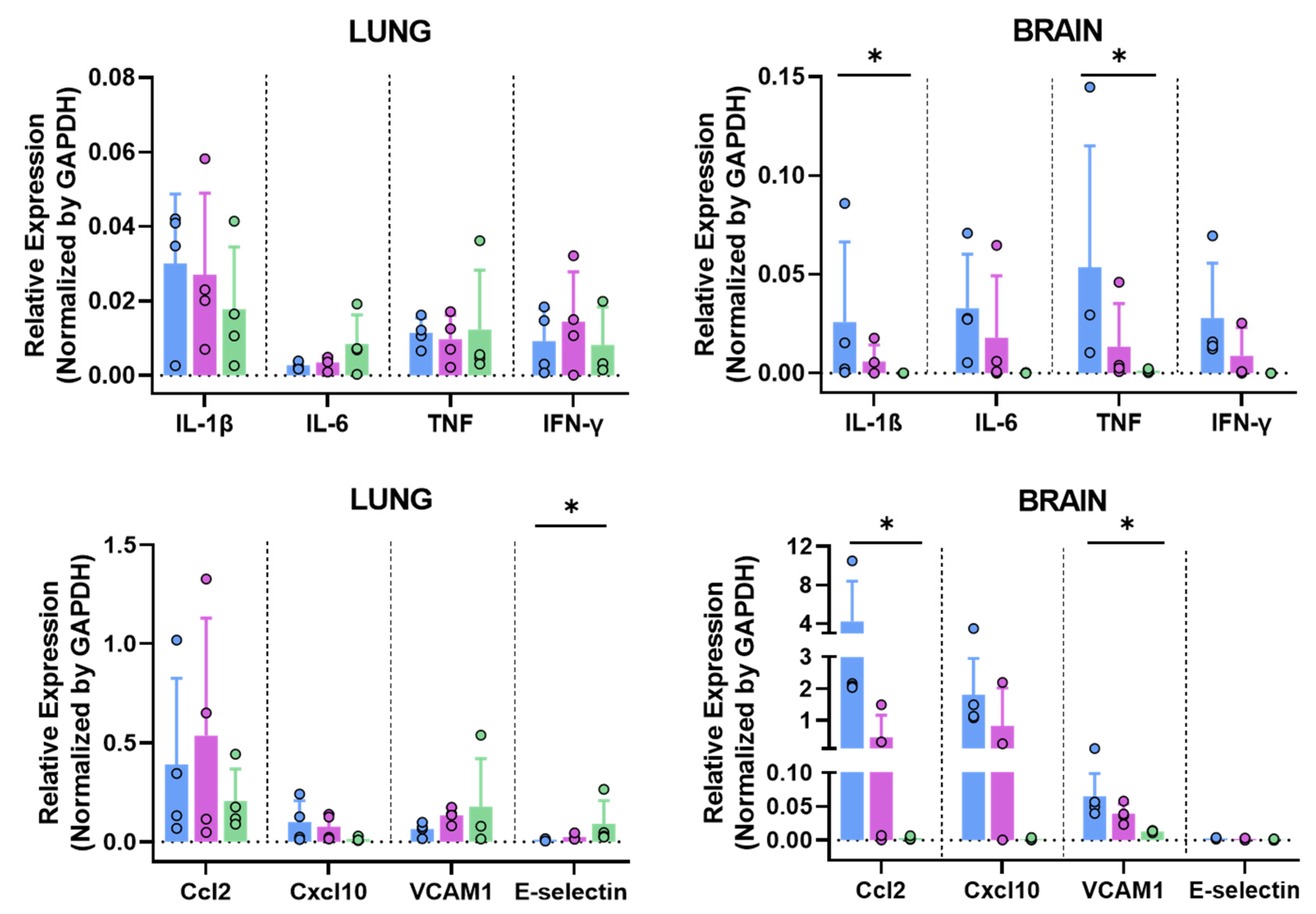 Vaccines 11 01006 g007