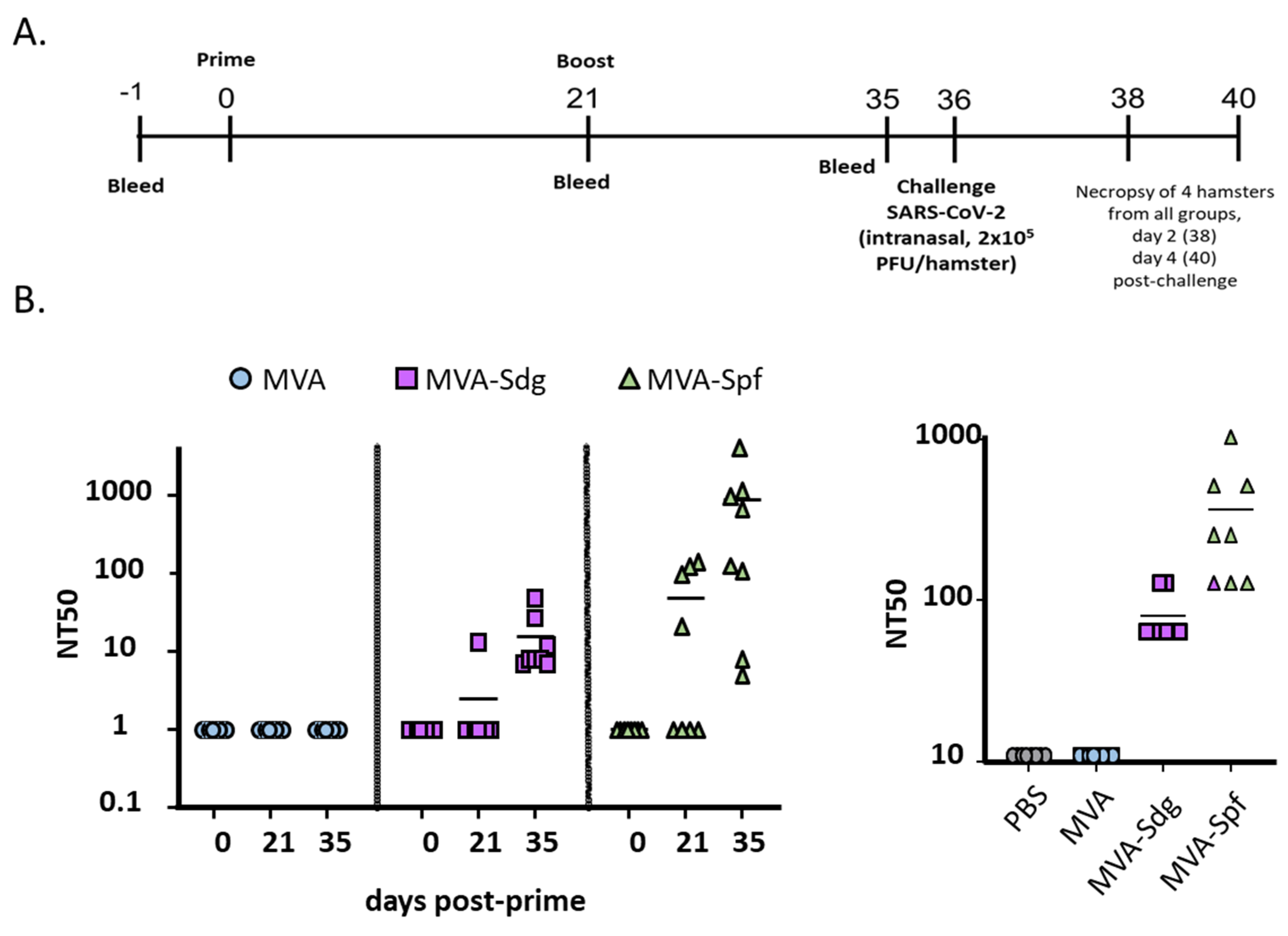 Vaccines 11 01006 g008