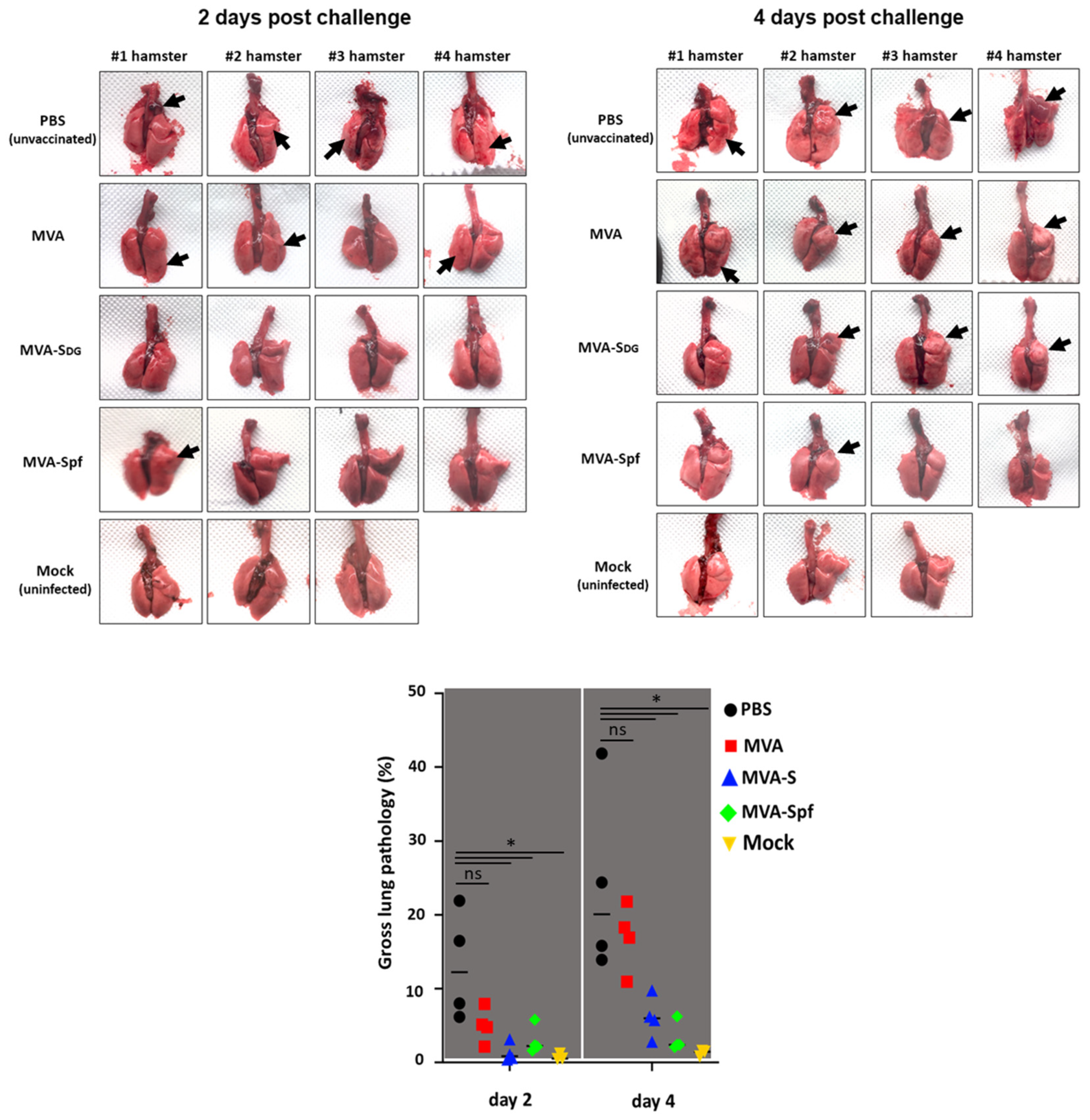 Vaccines 11 01006 g009