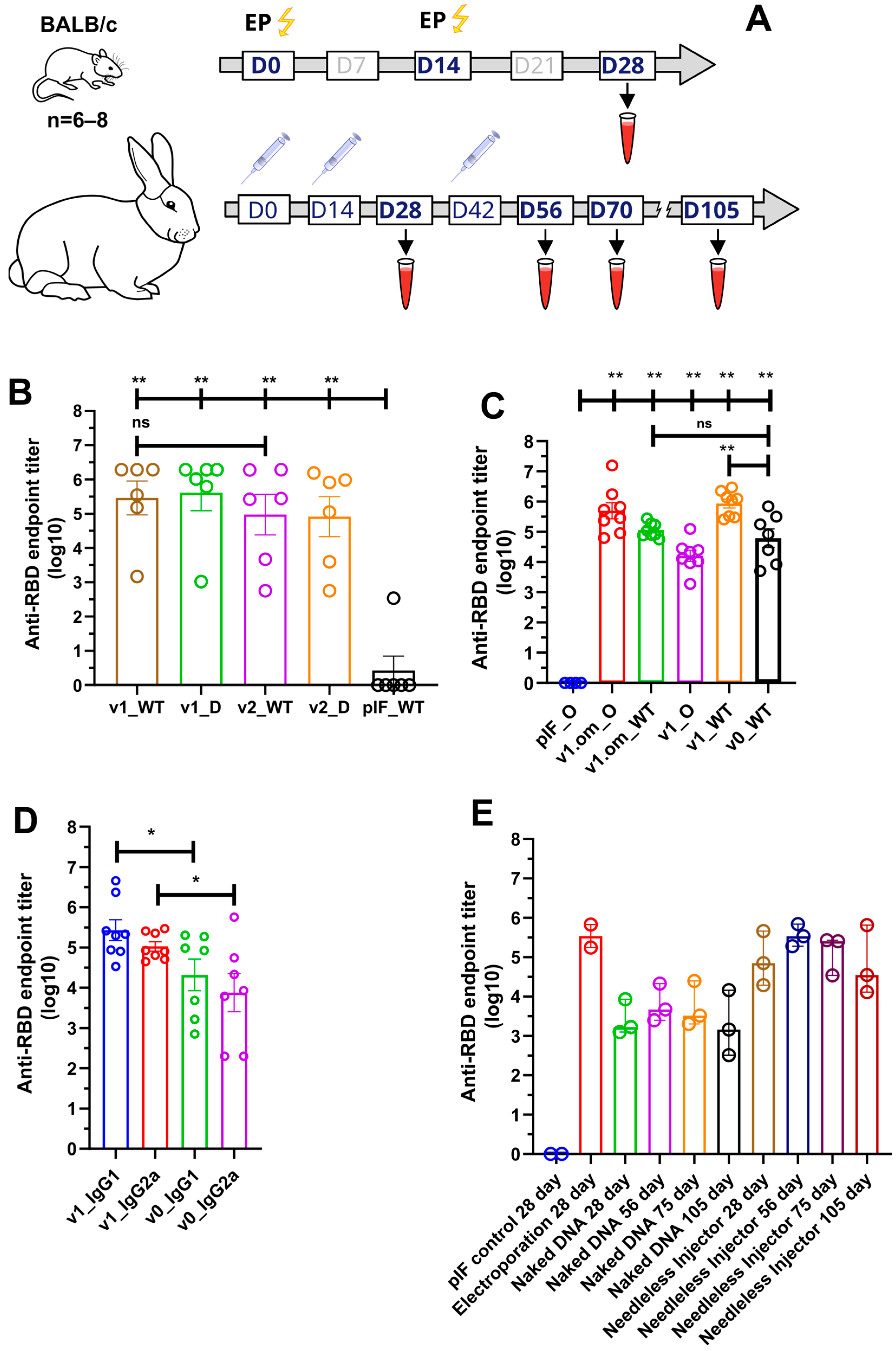 Vaccines 11 01014 g003 Vaccines 11 01014 g003