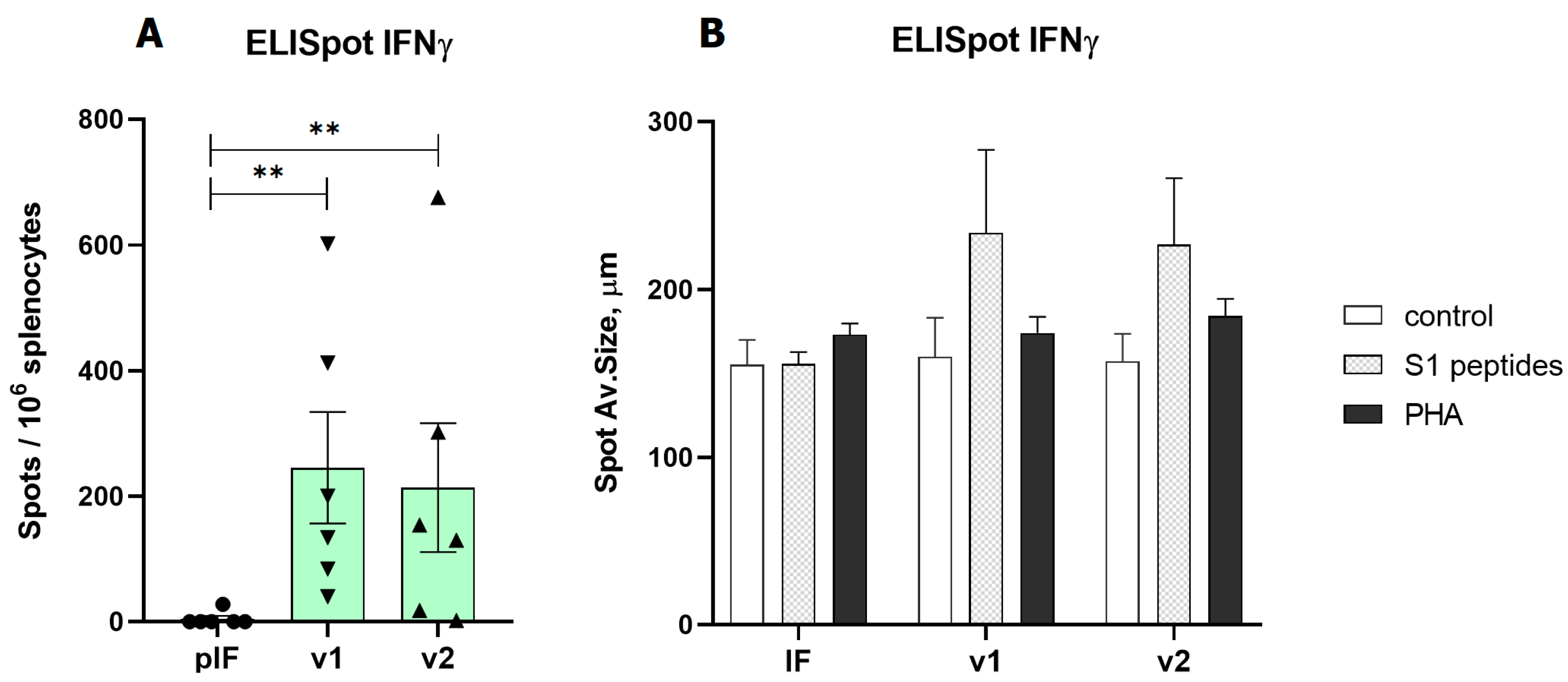 Vaccines 11 01014 g004 Vaccines 11 01014 g004