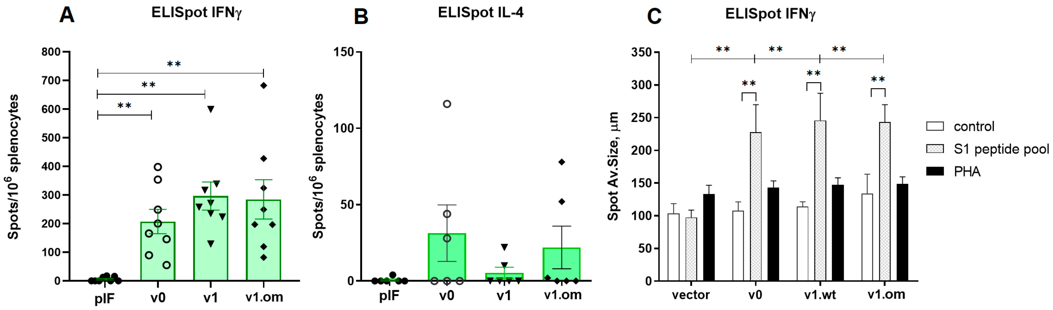 Vaccines 11 01014 g005 Vaccines 11 01014 g005