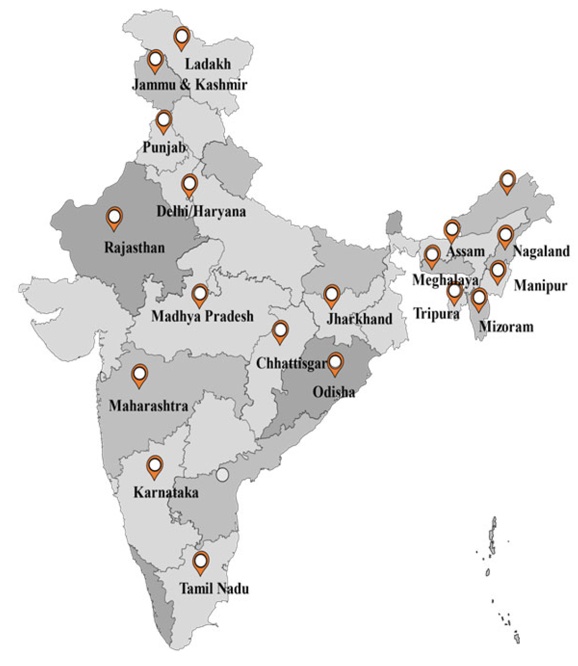 Need to form COVID-19 response team for tribal people: Experts- The New  Indian Express